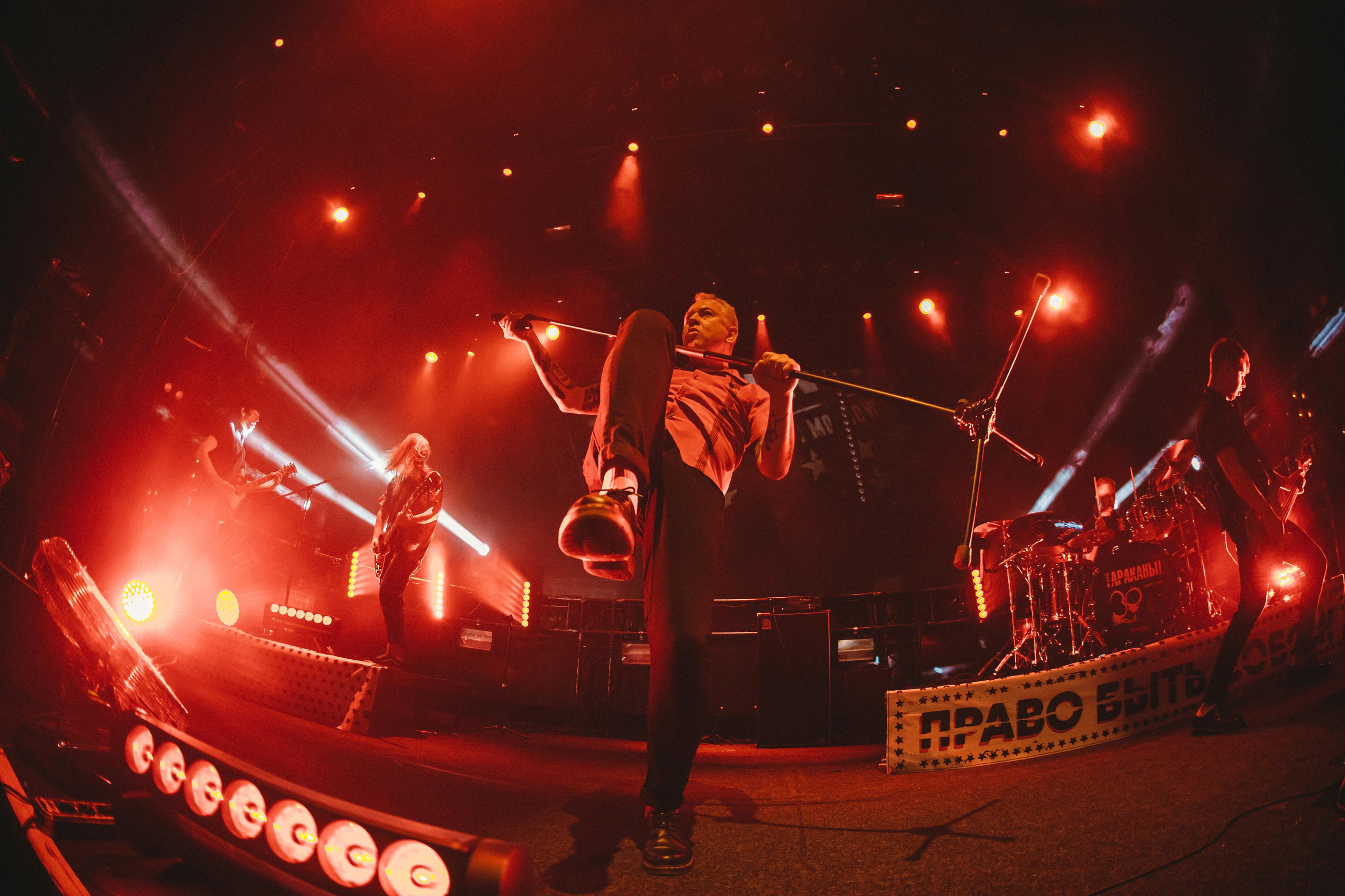 ТАРАКАНЫ!. Photographer Sonkina Tatiana (Tanya Ash)