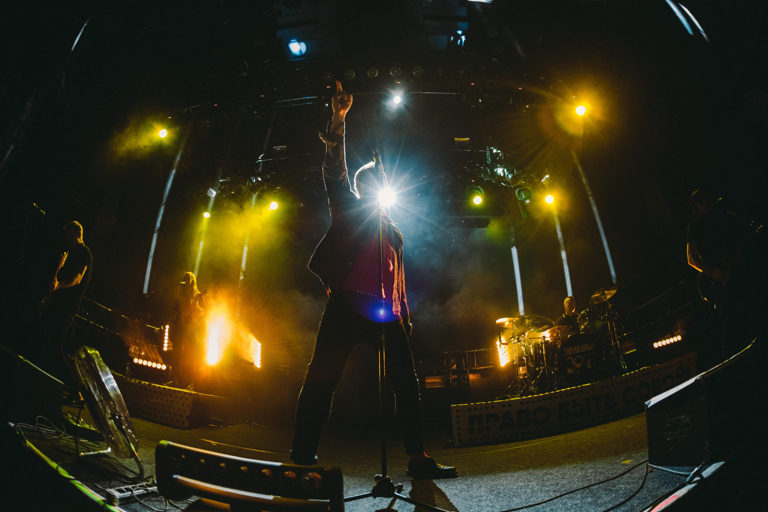 ТАРАКАНЫ!. Photographer Sonkina Tatiana (Tanya Ash)