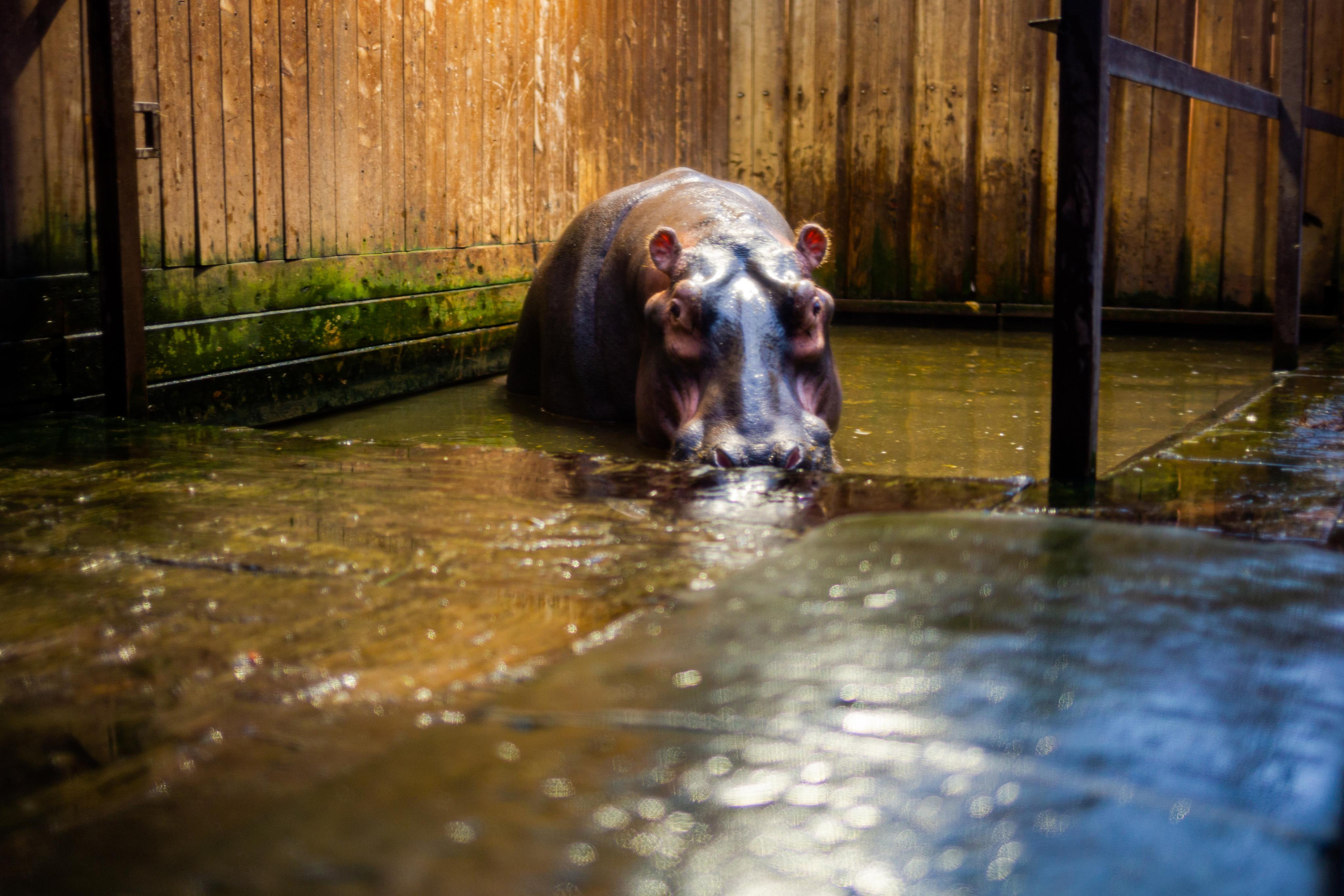 Аквариум и Морской зоопарк. Photographer Sonkina Tatiana (Tanya Ash)