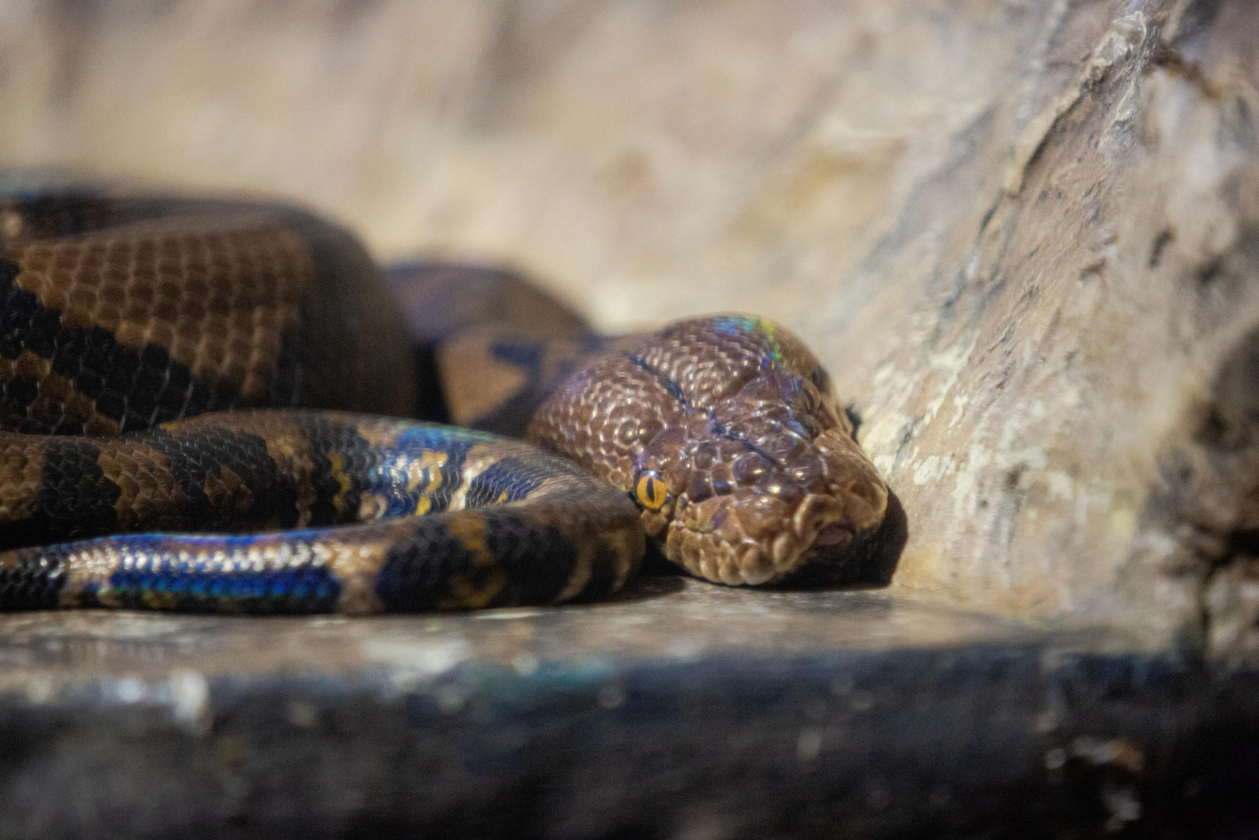 Аквариум и Морской зоопарк. Photographer Sonkina Tatiana (Tanya Ash)