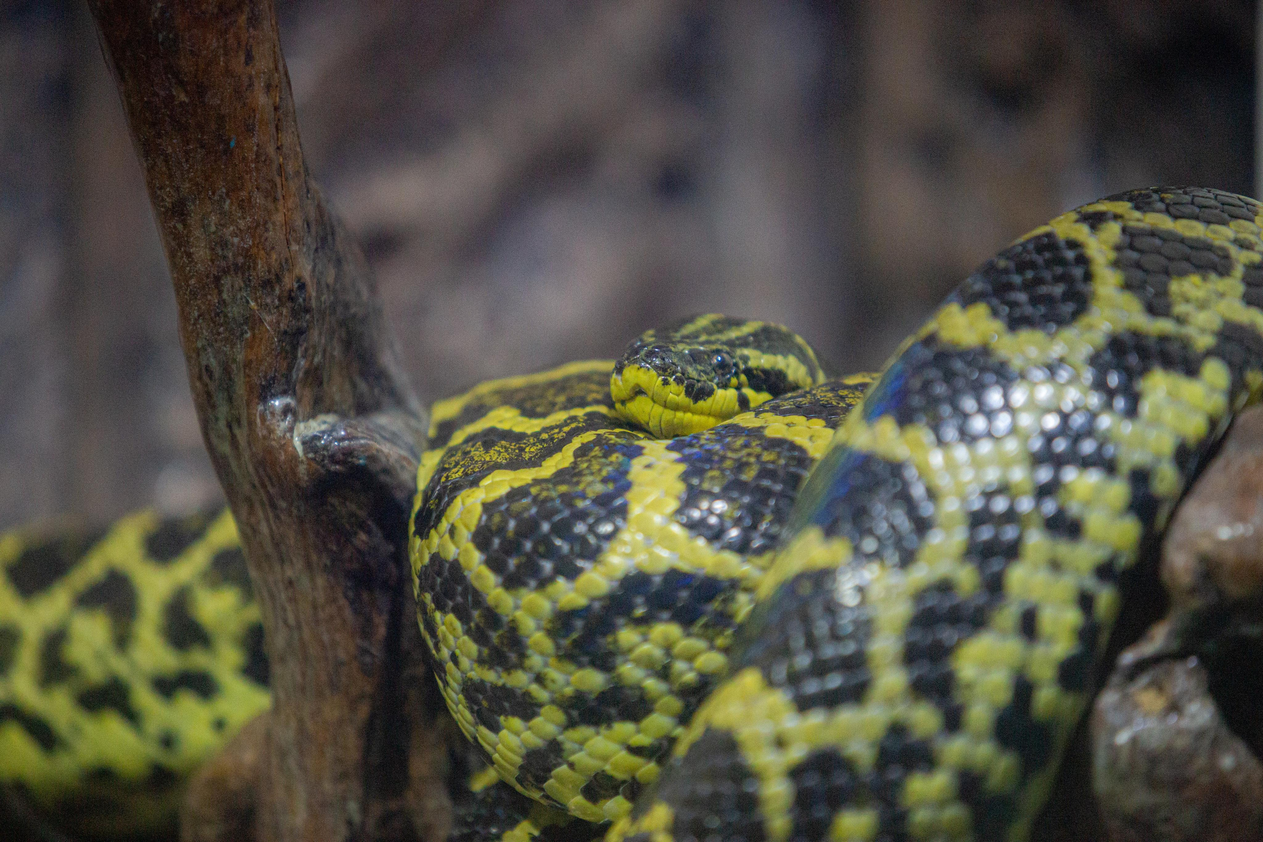 Аквариум и Морской зоопарк. Photographer Sonkina Tatiana (Tanya Ash)