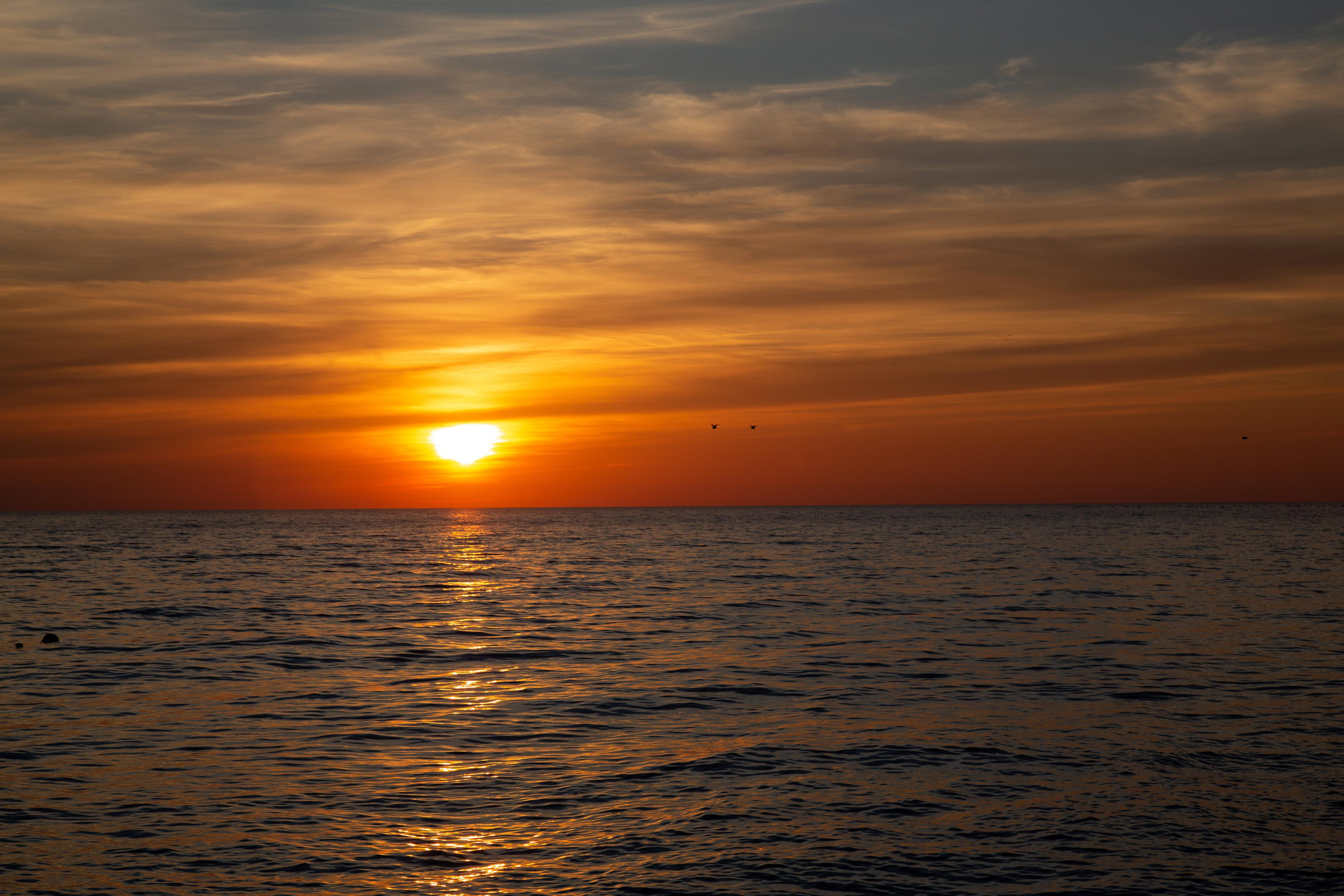 Адлер. Фотограф Сонкина Татьяна