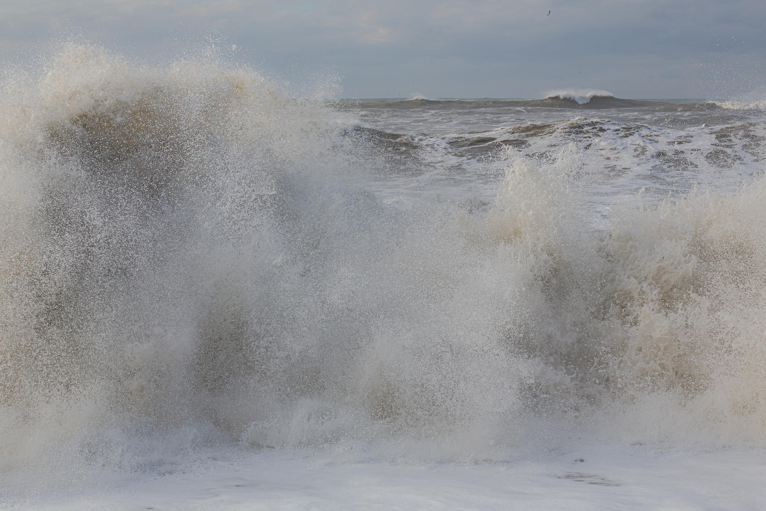 Адлер. Фотограф Сонкина Татьяна