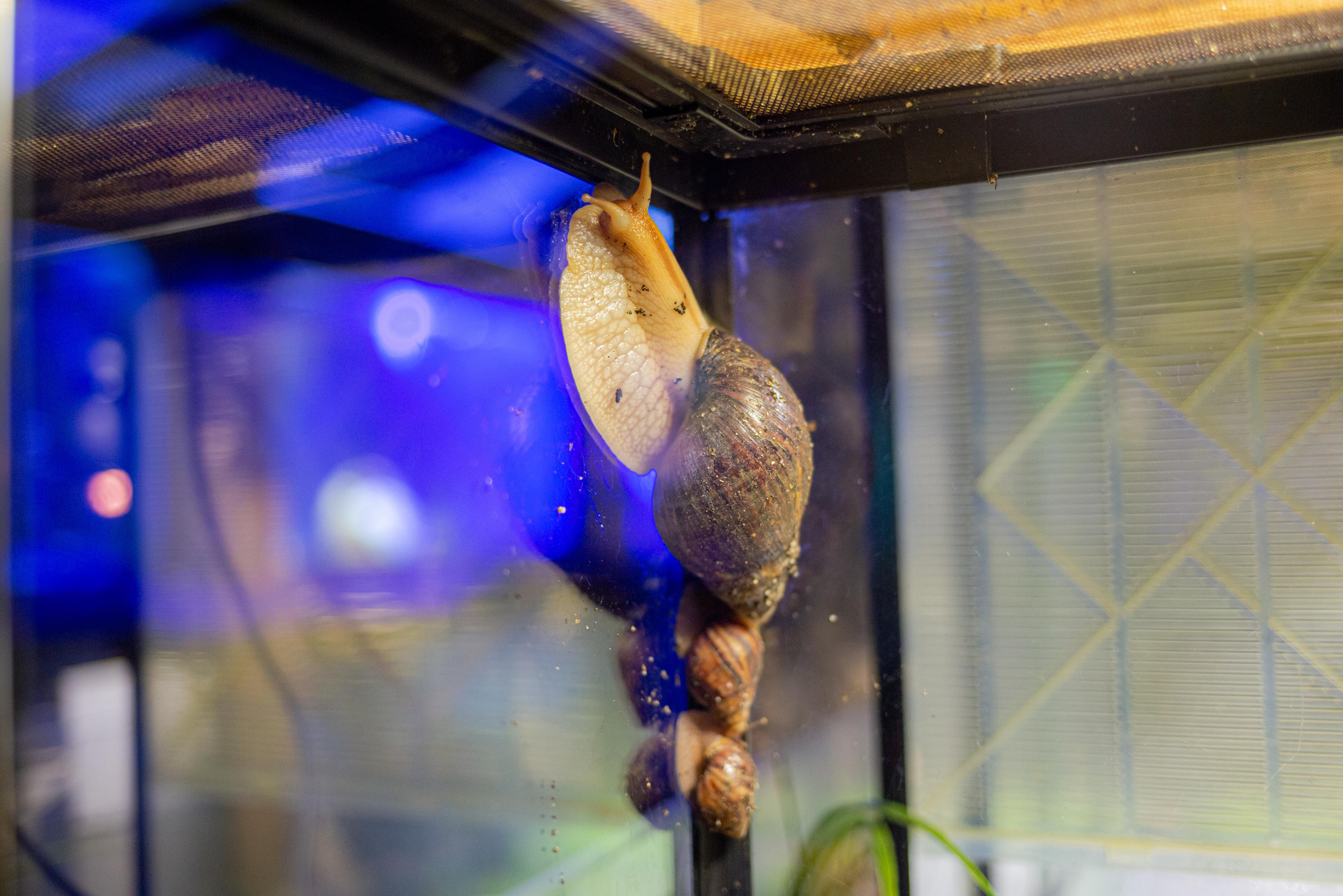 Аквариум и Морской зоопарк. Photographer Sonkina Tatiana (Tanya Ash)