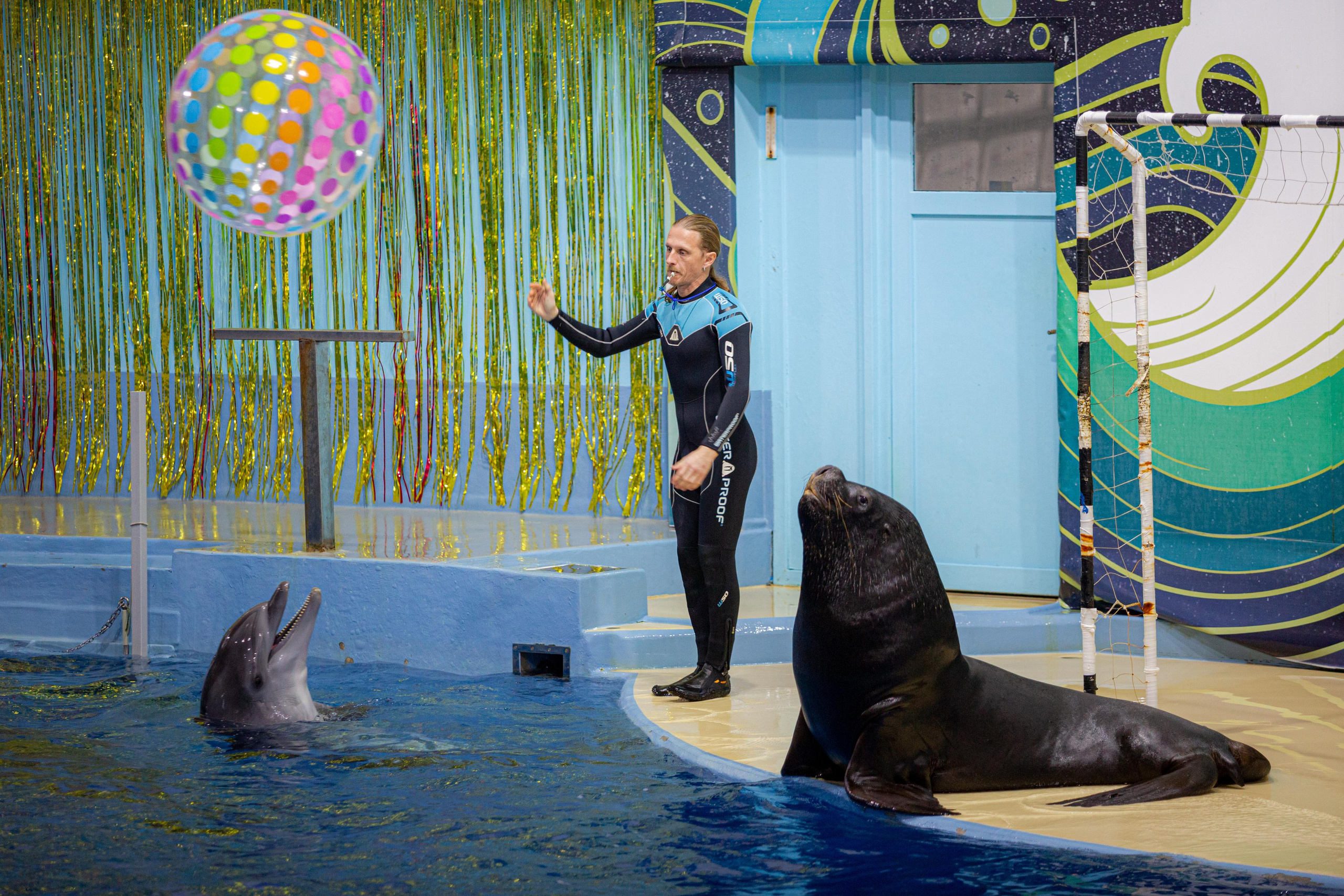 Dolphinarium “Riviera”. Photographer Sonkina Tatiana (Tanya Ash)