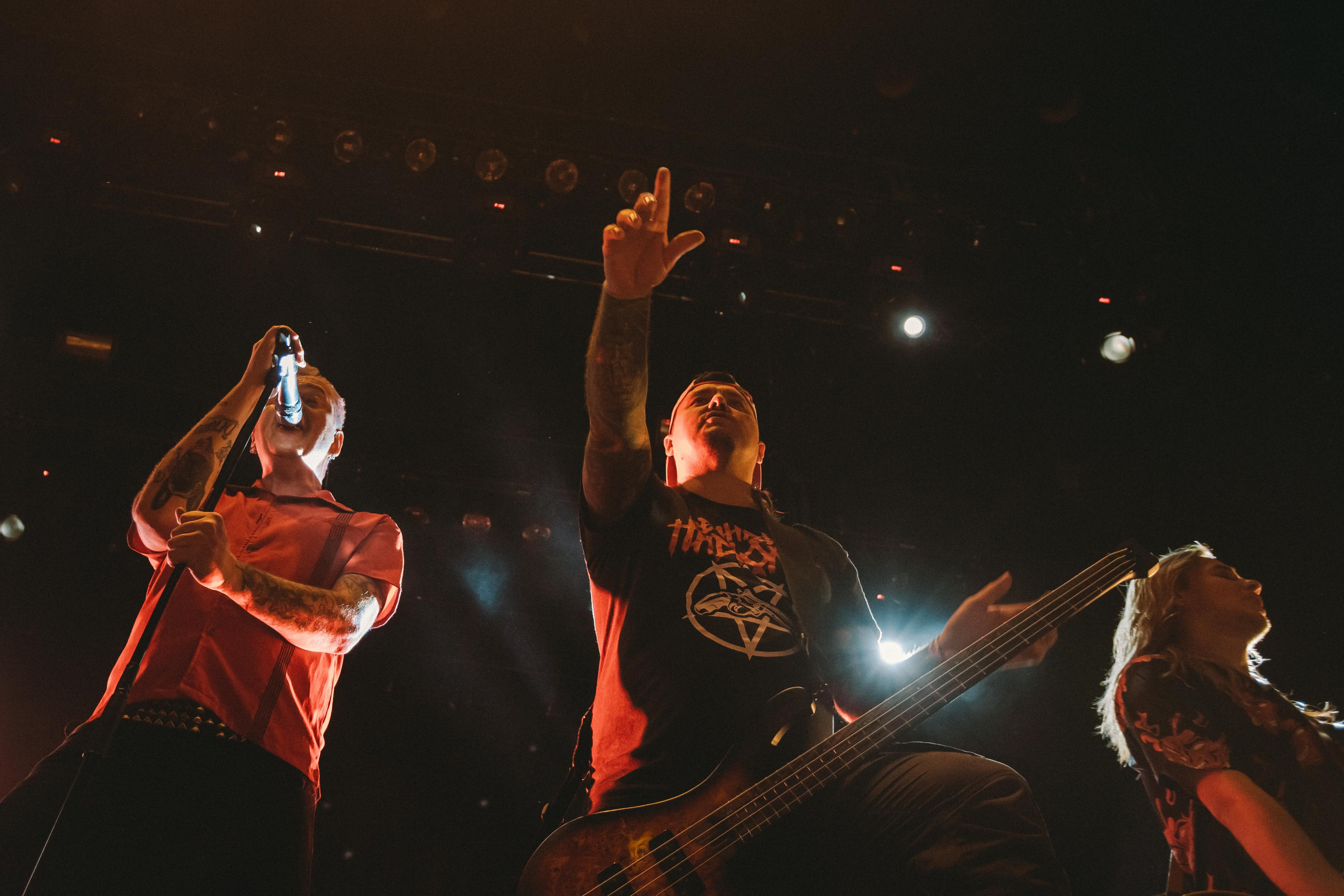 ТАРАКАНЫ!. Photographer Sonkina Tatiana (Tanya Ash)