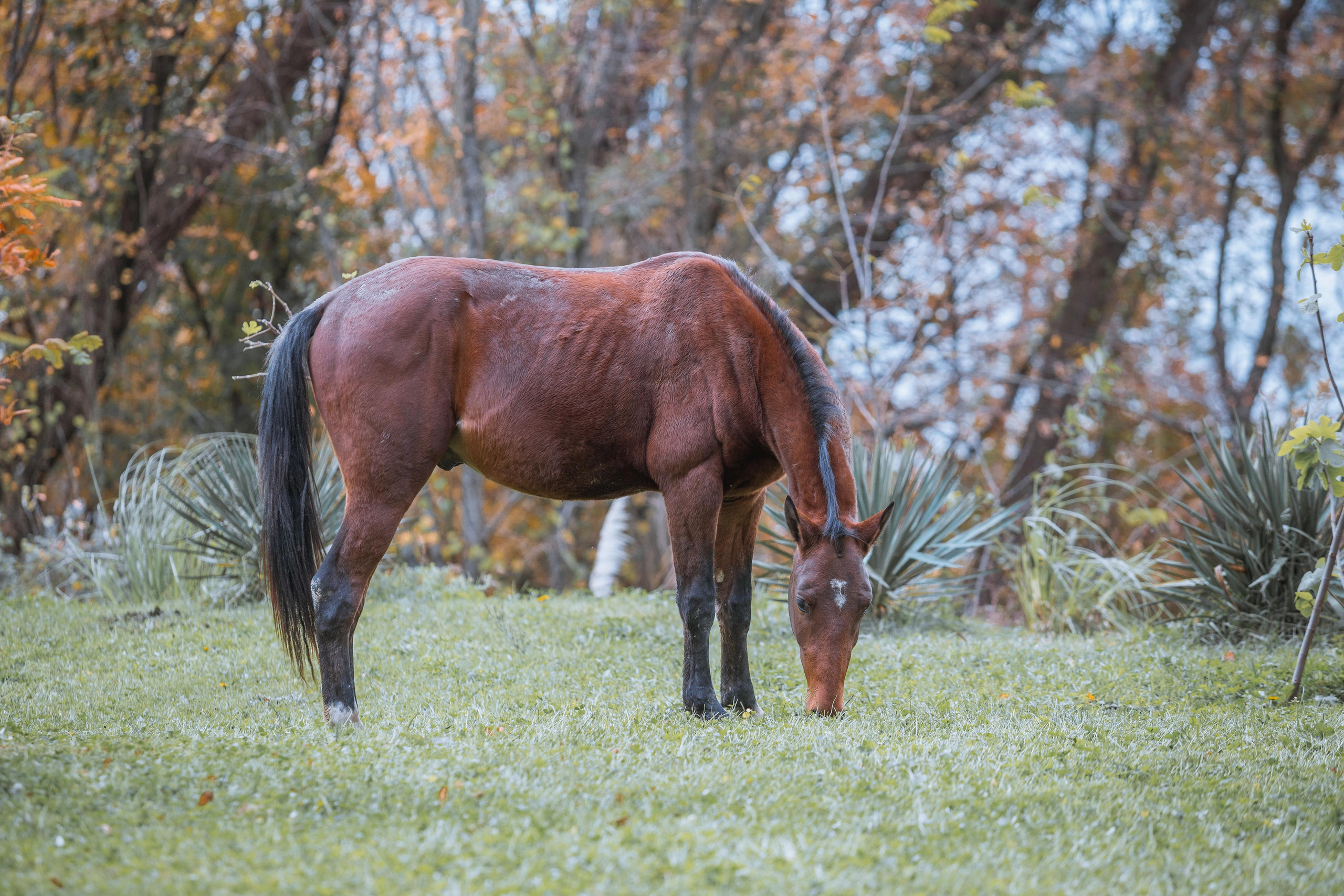 Дача Сталина. Photographer Sonkina Tatiana (Tanya Ash)
