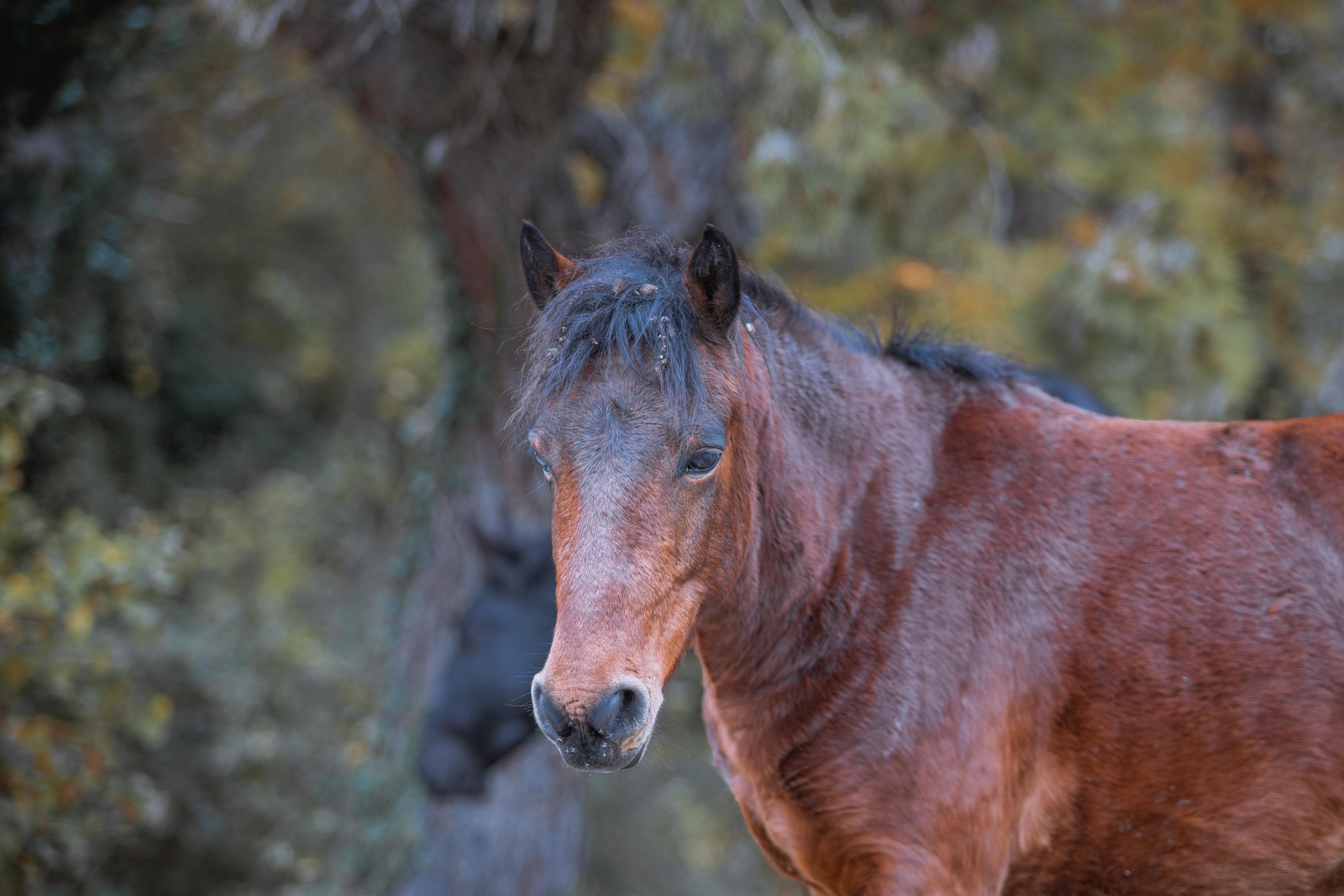 Дача Сталина. Photographer Sonkina Tatiana (Tanya Ash)