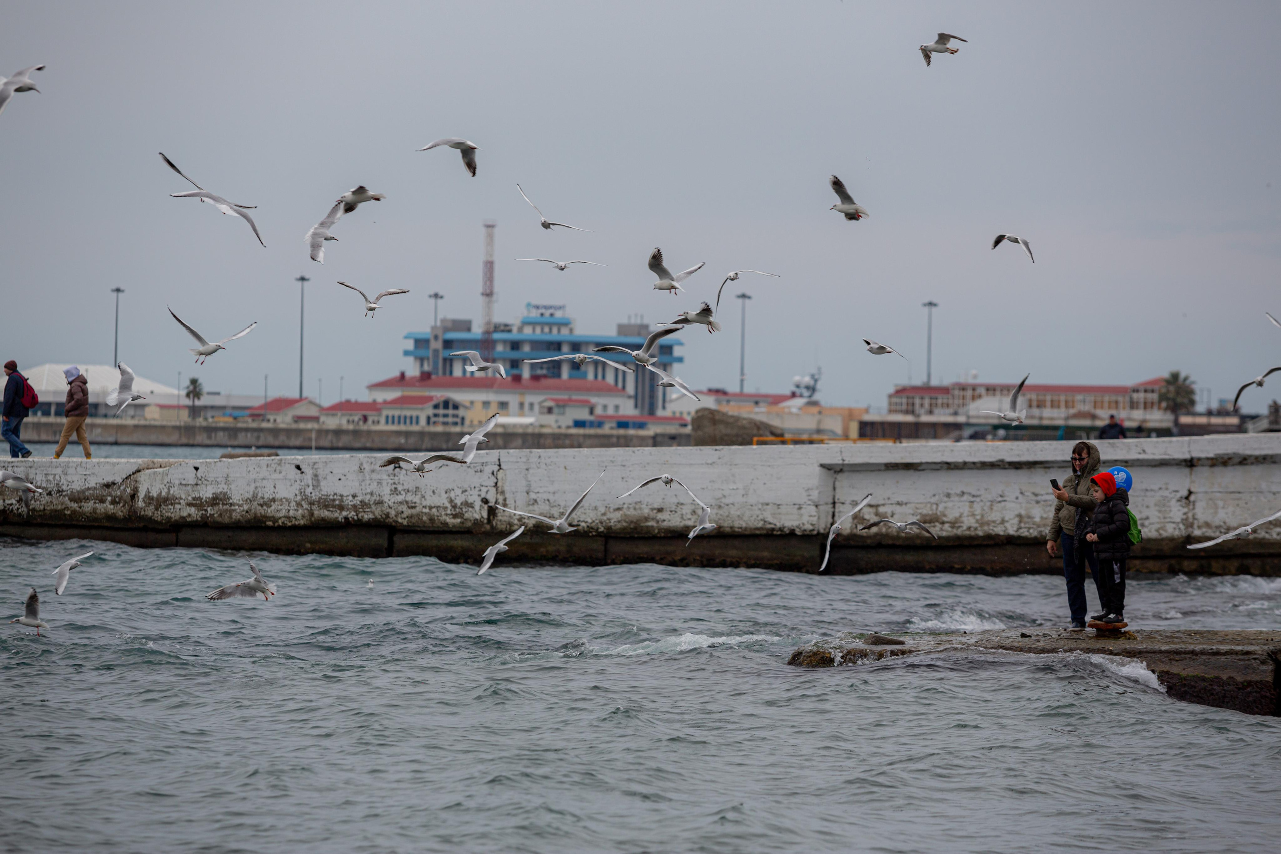 Сочи. Photographer Sonkina Tatiana (Tanya Ash)