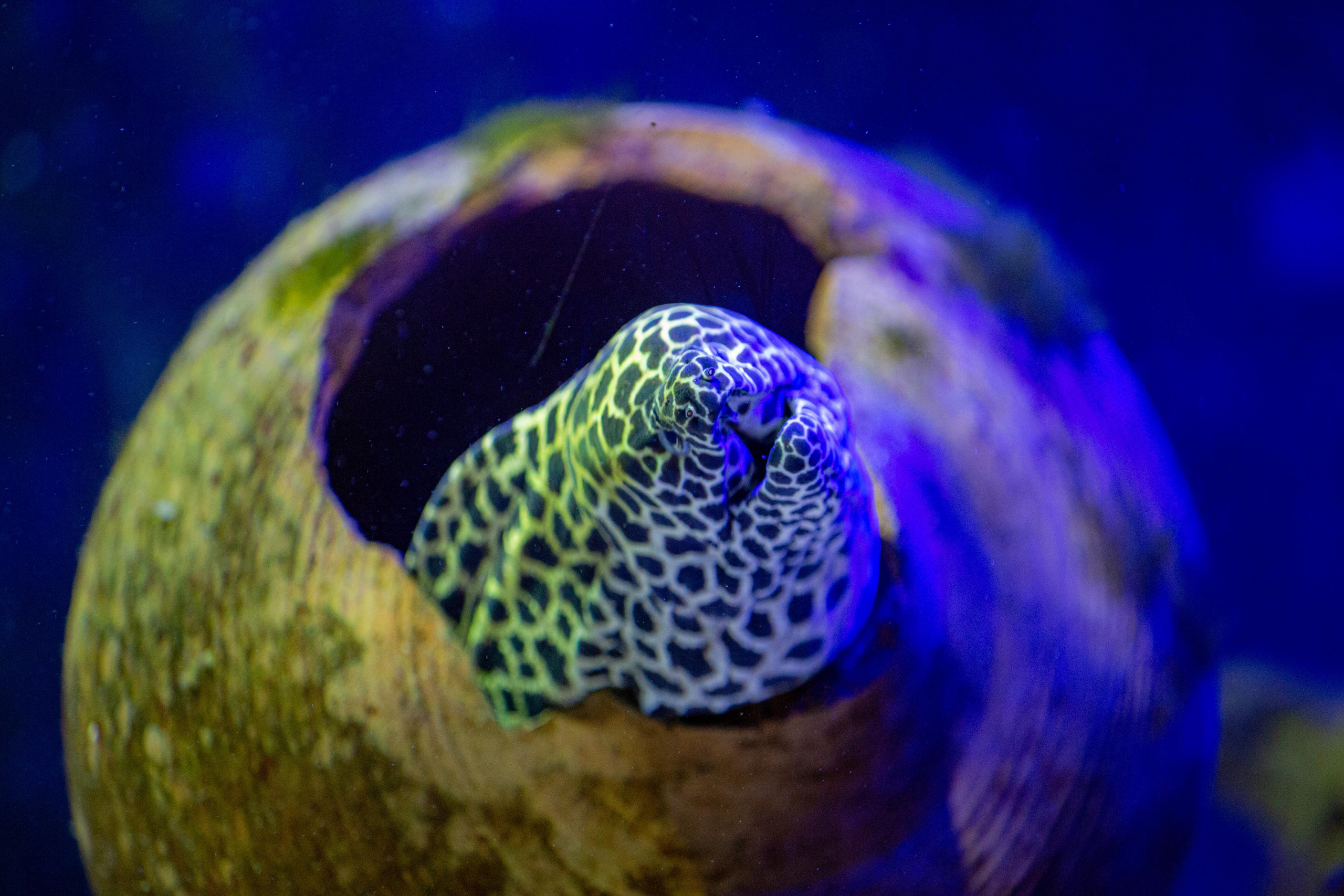 Аквариум и Морской зоопарк. Photographer Sonkina Tatiana (Tanya Ash)