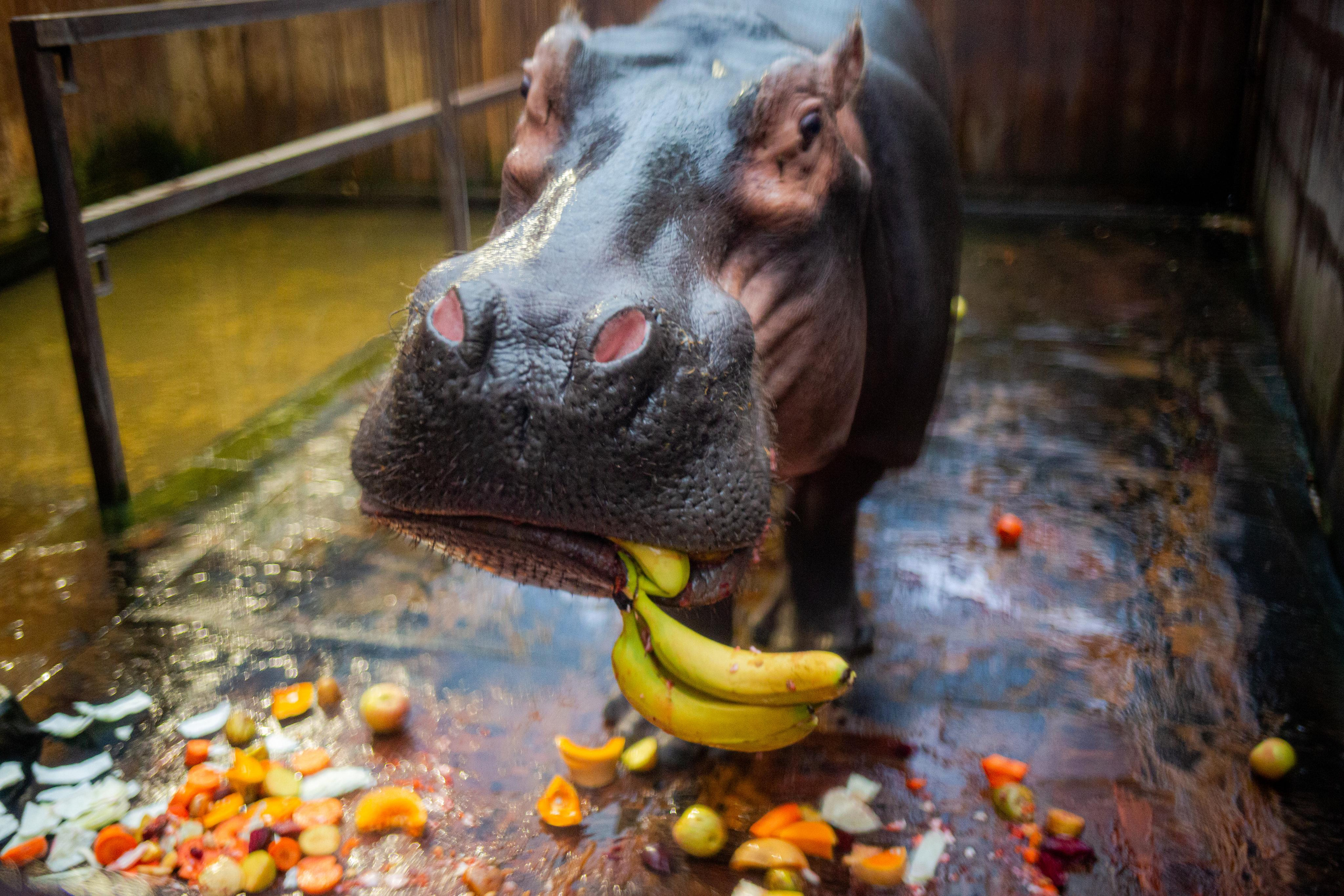 Аквариум и Морской зоопарк. Photographer Sonkina Tatiana (Tanya Ash)