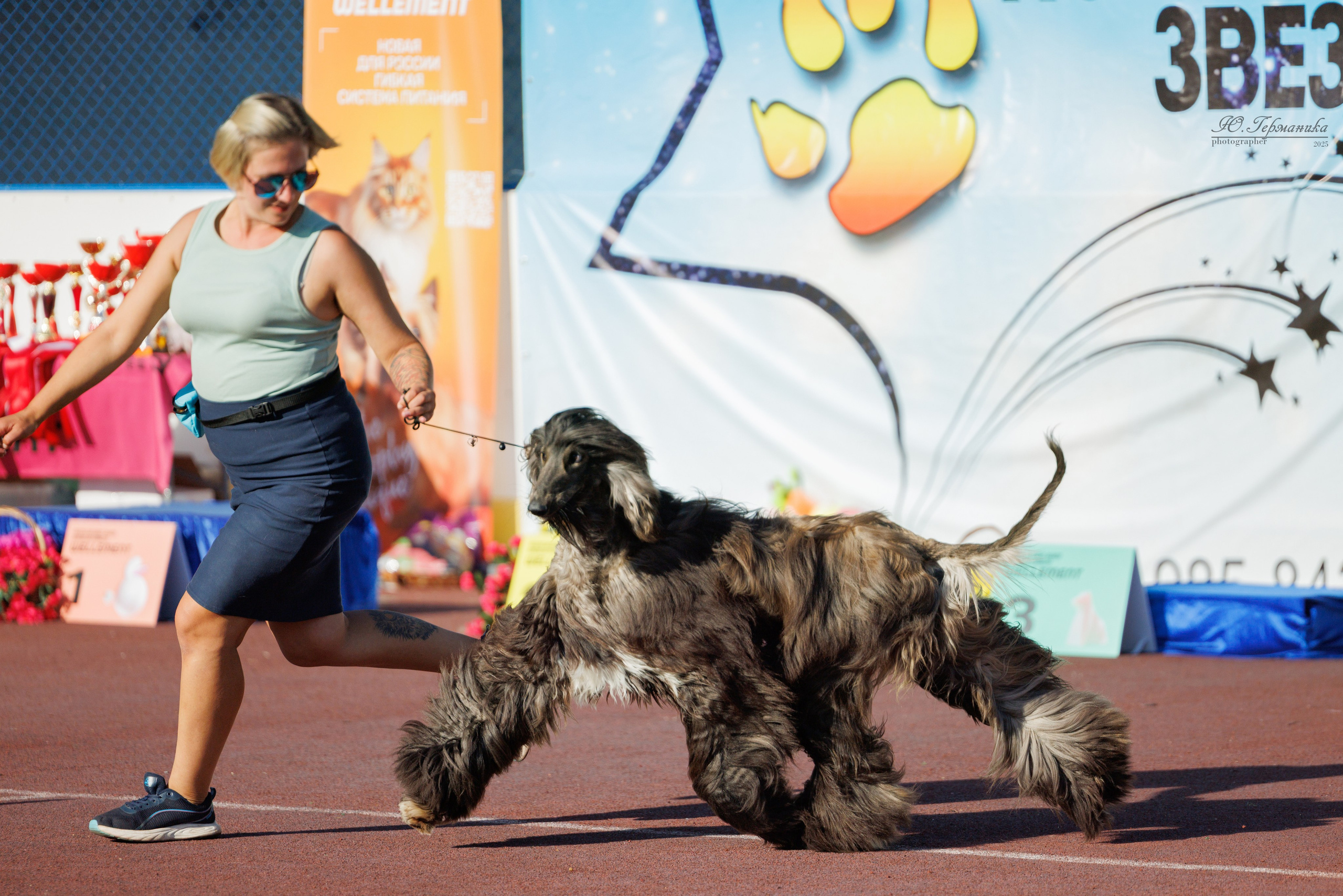 Коломна 30.08.2025. Фотограф-анималист Юлия Германика