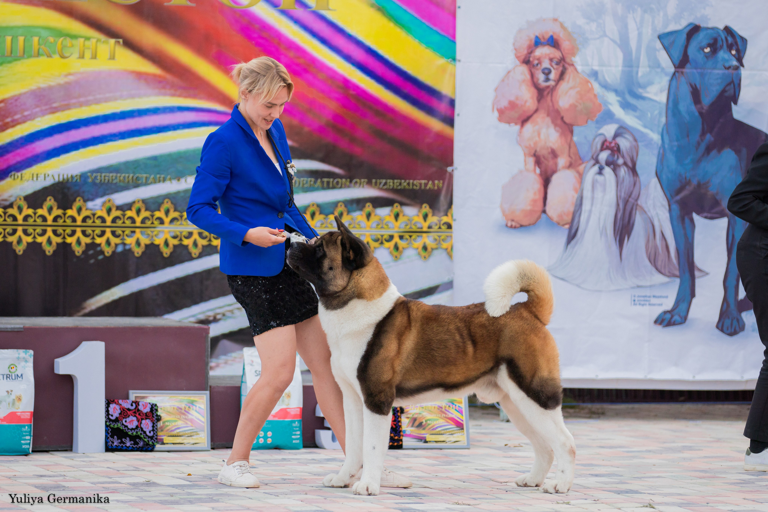 Ташкент 6-8.10.2023 + Алматы 14-15.10.2023. Фотограф-анималист Юлия Германика