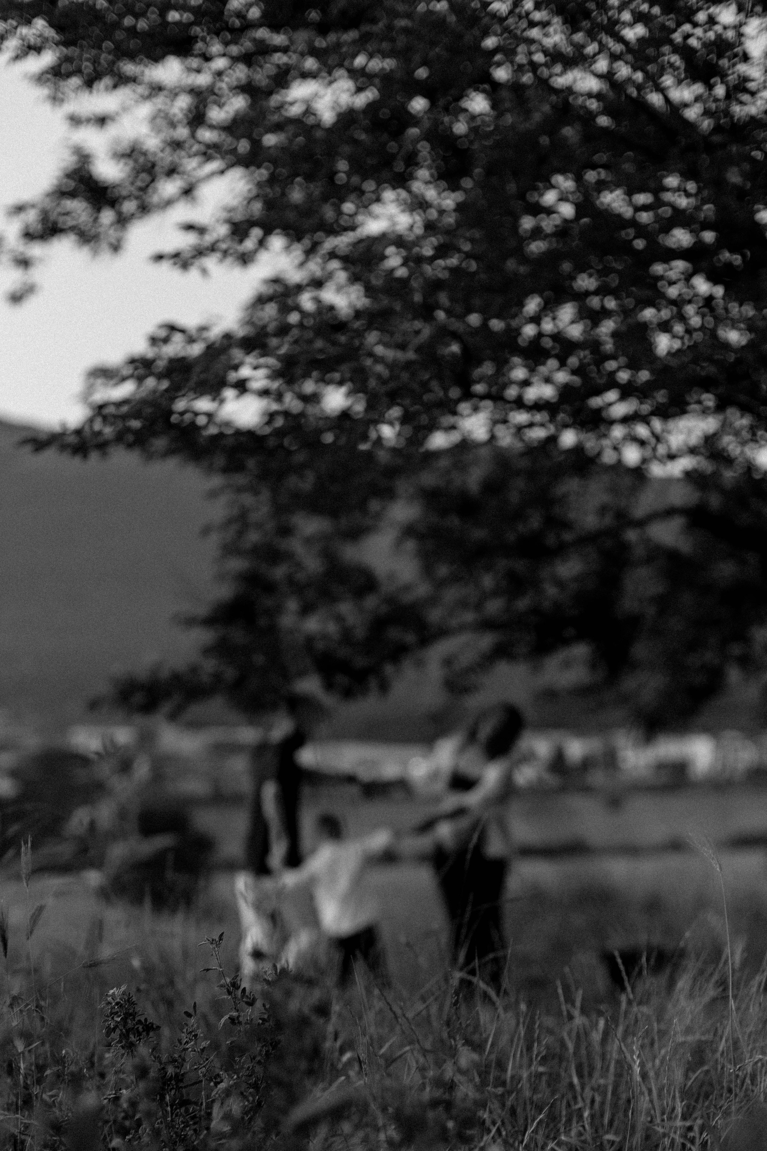 В ожидании. Фотограф в Геленджике Елизавета Гудина