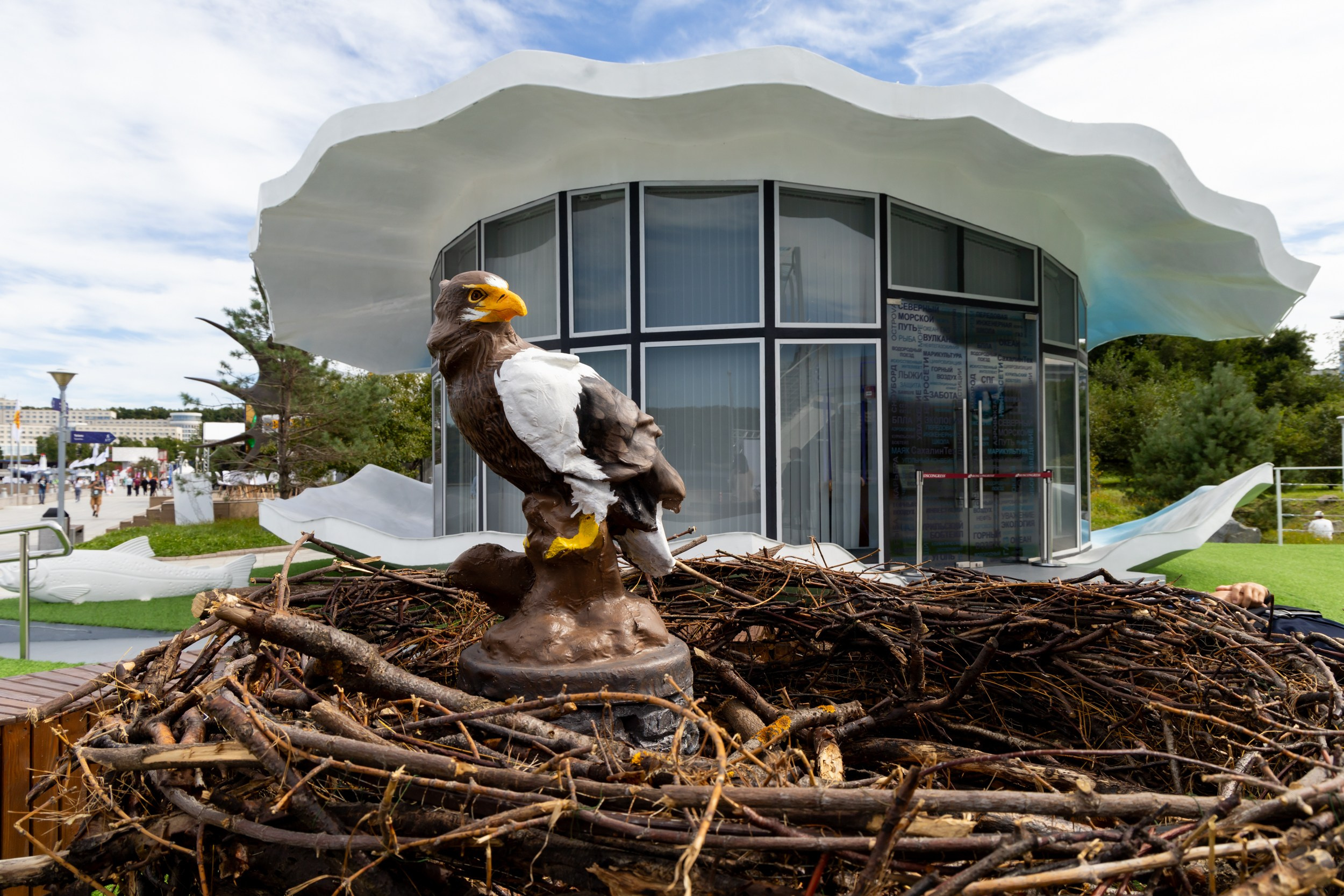 ВЭФ 2024. Репортажный и студийный фотограф во Владивостоке Дударева Софья