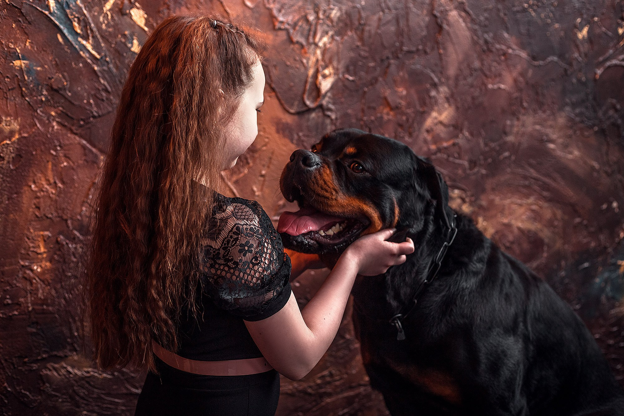 Ротвейлер. Студия. Фотограф анималист Кузнецова Анна Нижний Новгород