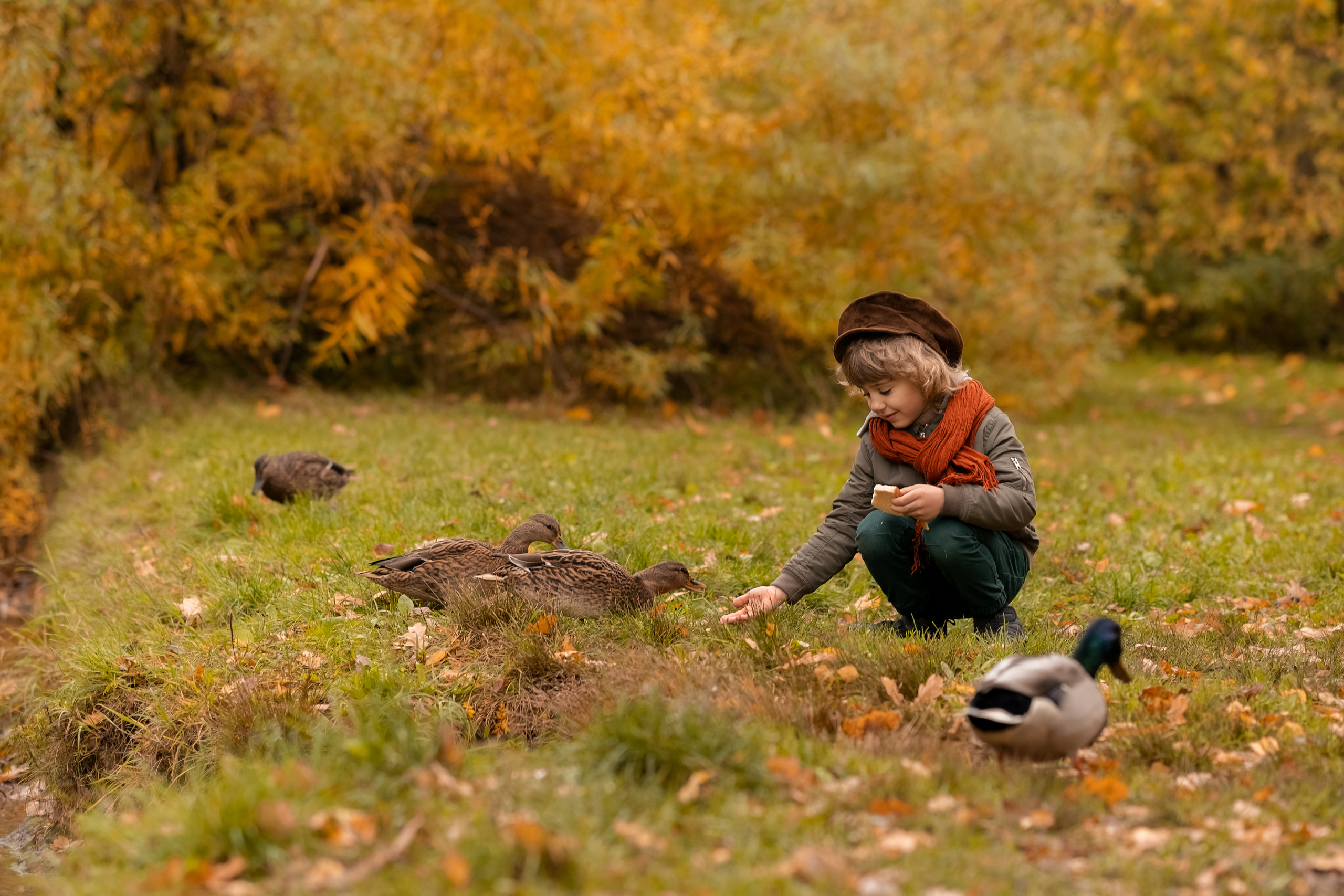 Прогулка в парке. Семейный и детский фотограф в Мелитополе /Наталья Зацеркляная