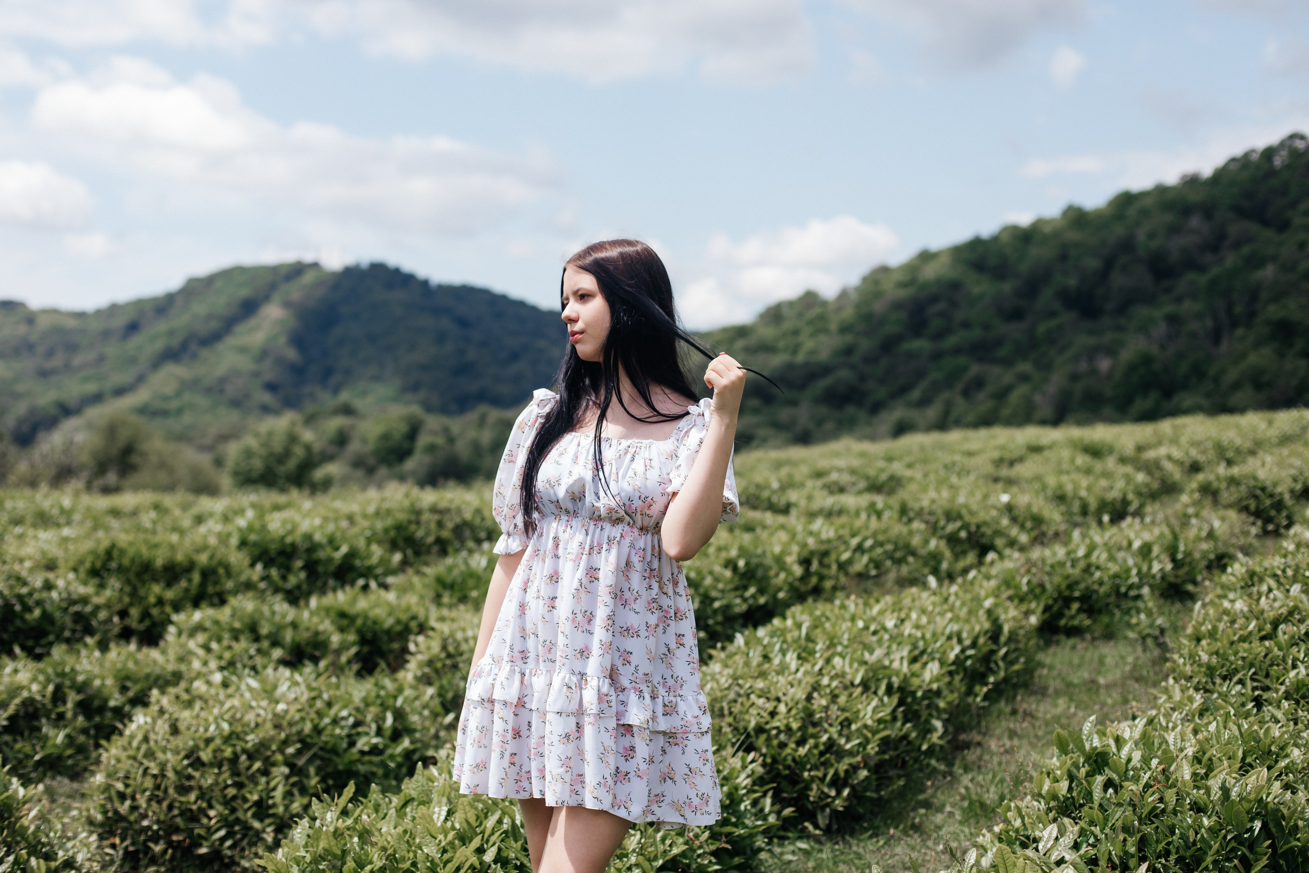 Tea plantation. Efimova Model Agency