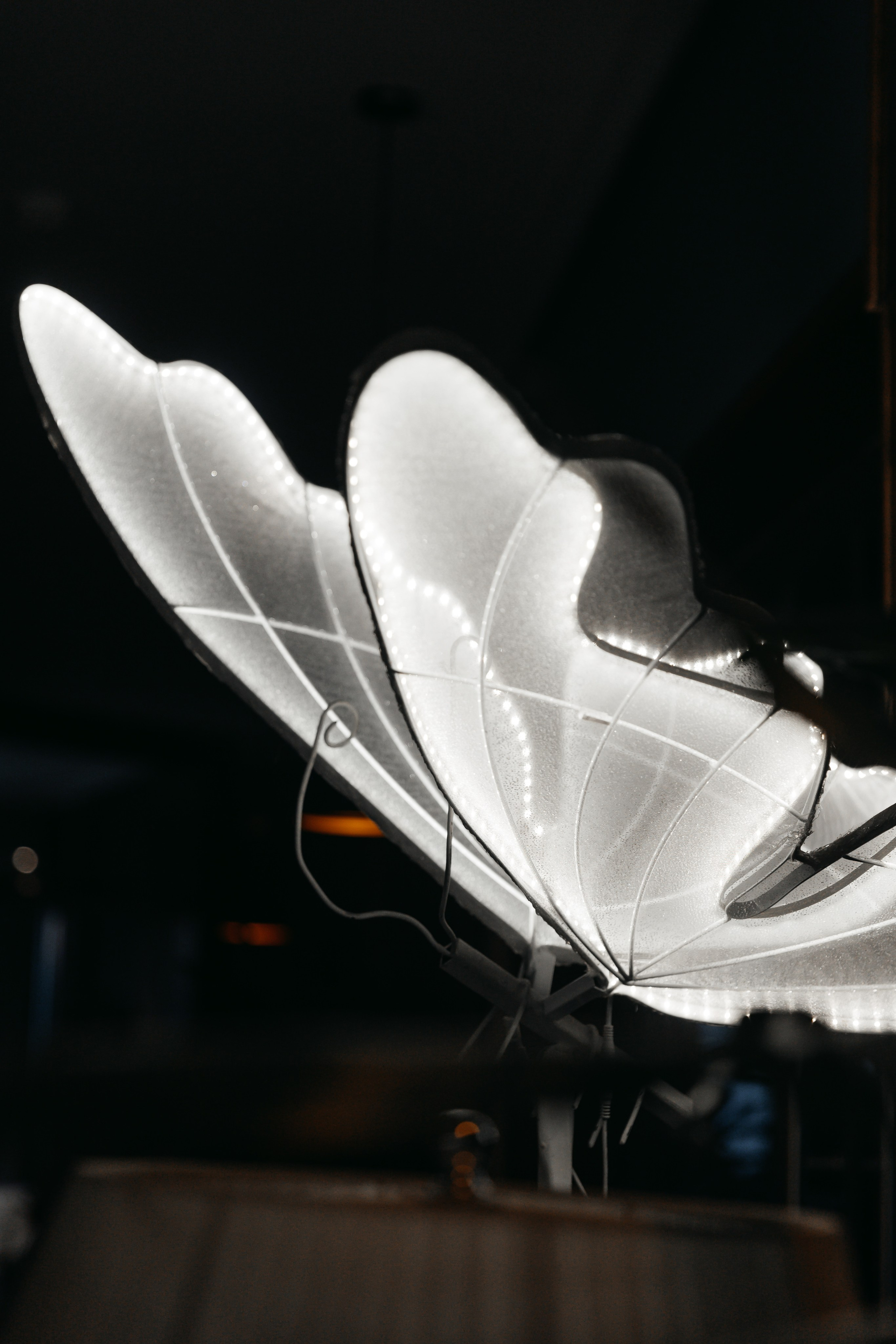 Милана, годовасие. Свадебный  и семейный фотограф в Краснодаре