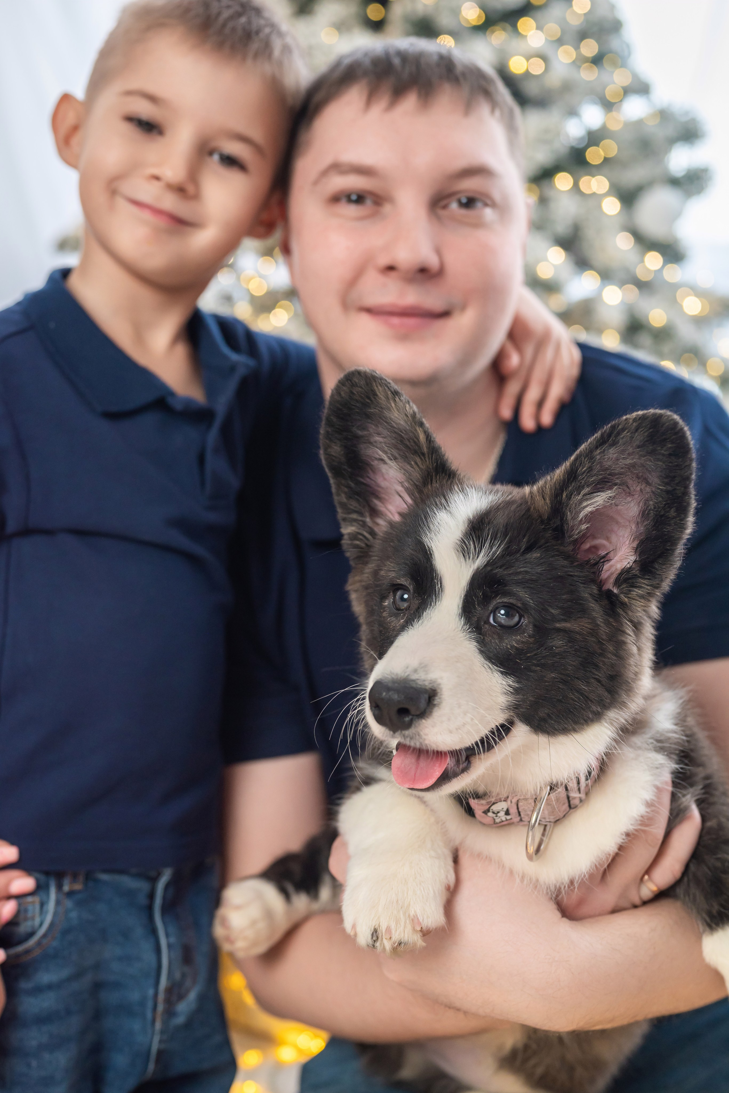 Фотопроект с корги. Фотограф в городе Салават