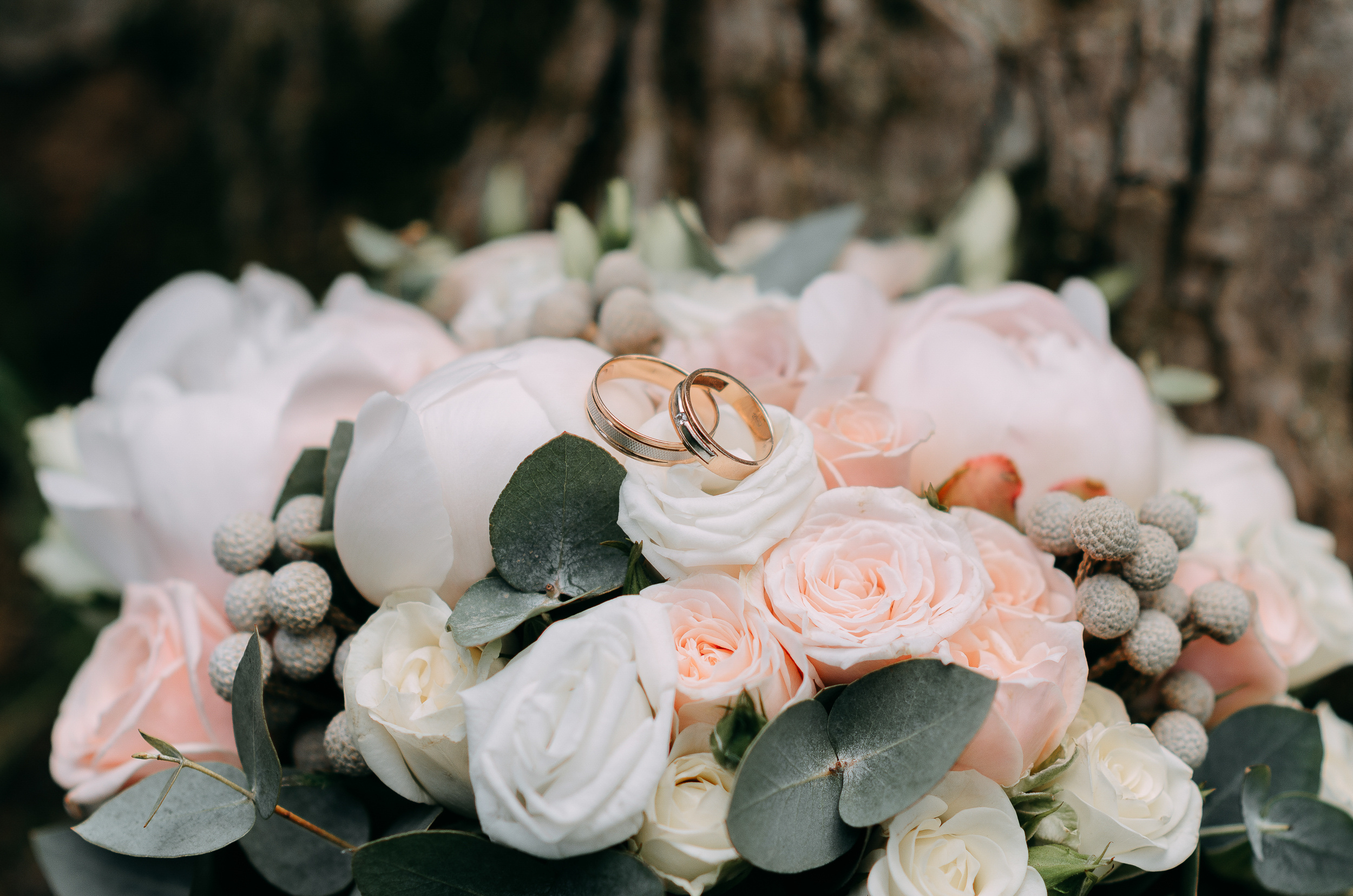 Елизавета и Дмитрий. Свадебный и портретный фотограф в Белгороде Павел Яновский