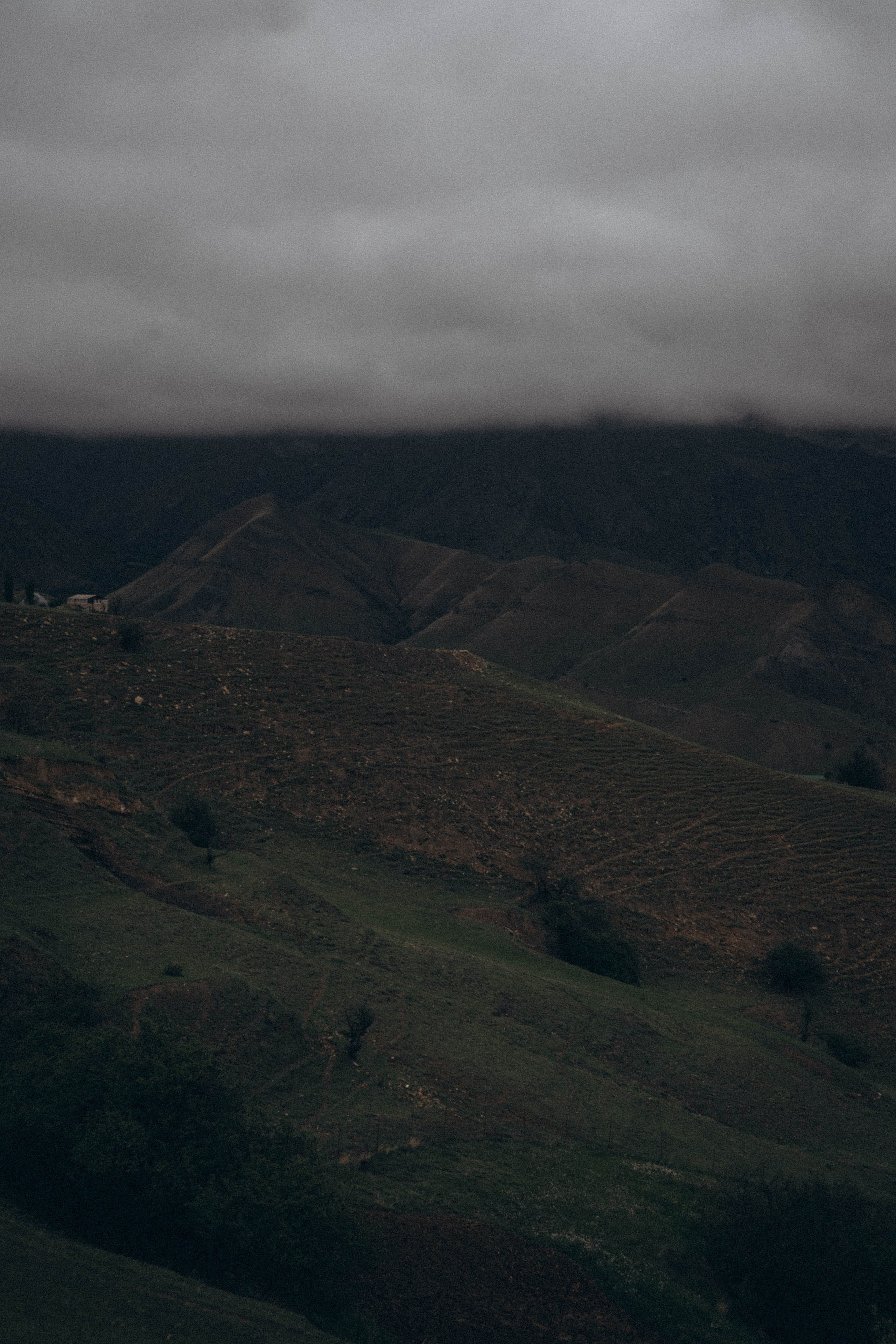Кавказ. Профессиональный фотограф, Санкт-Петербург — Виктория Богомолова