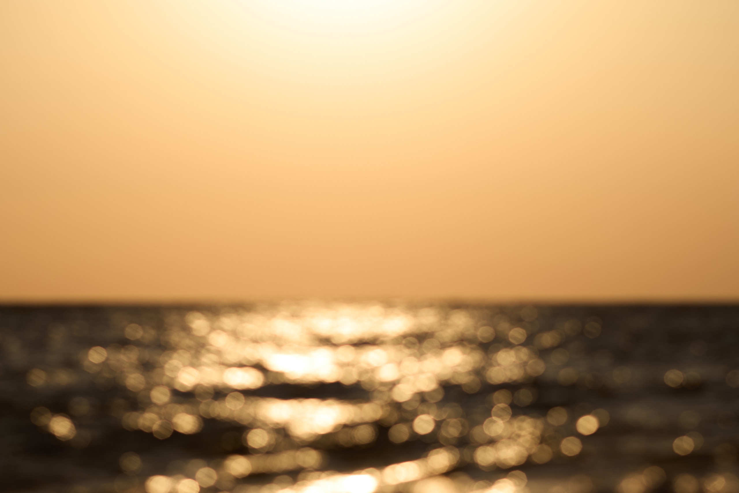 Rimma and Zoi. Репортажный фотограф, портретный фотограф  г. Москва