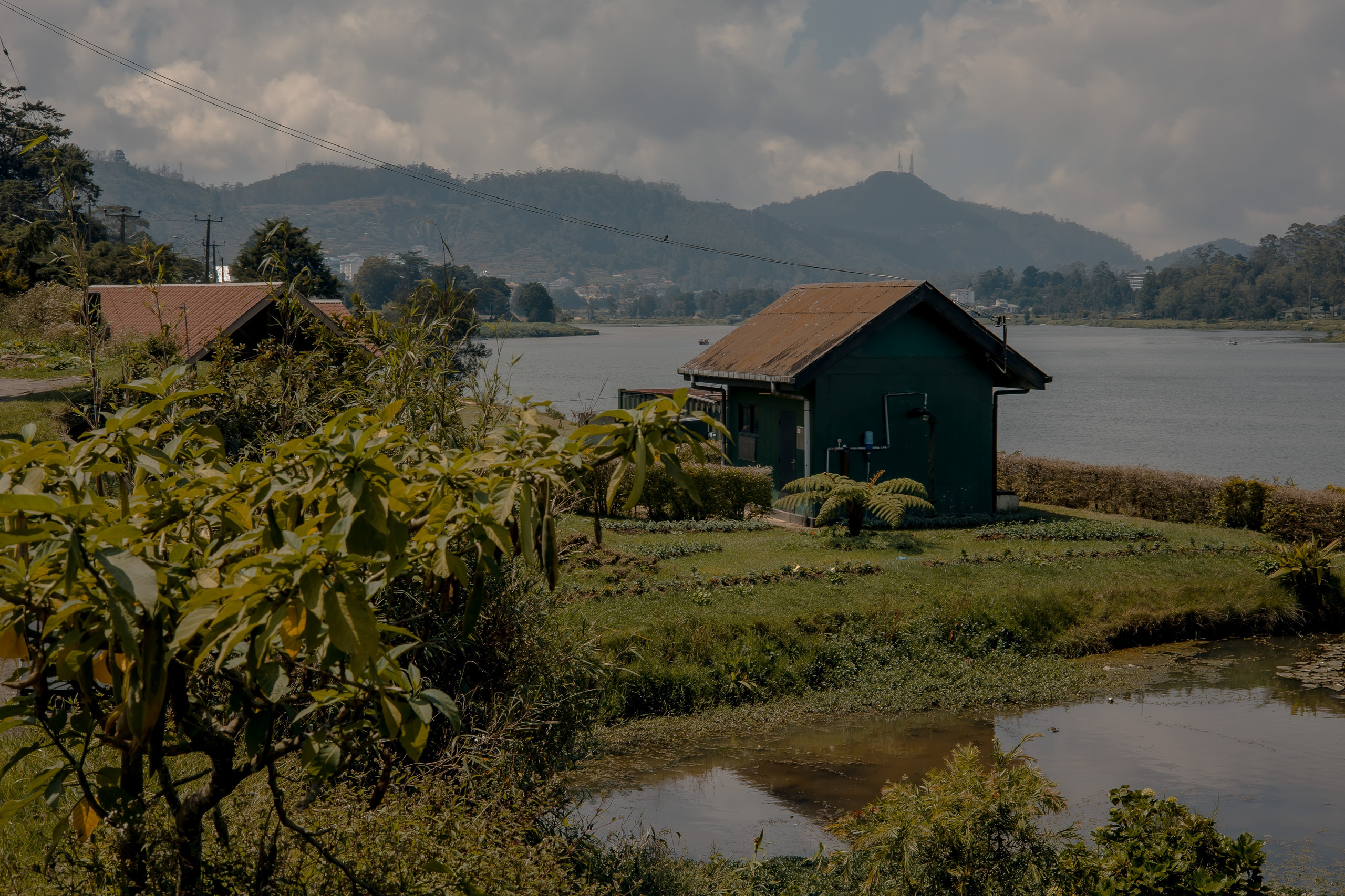 Sri Lanka, Nuwara Elia 2026. Art Photographer