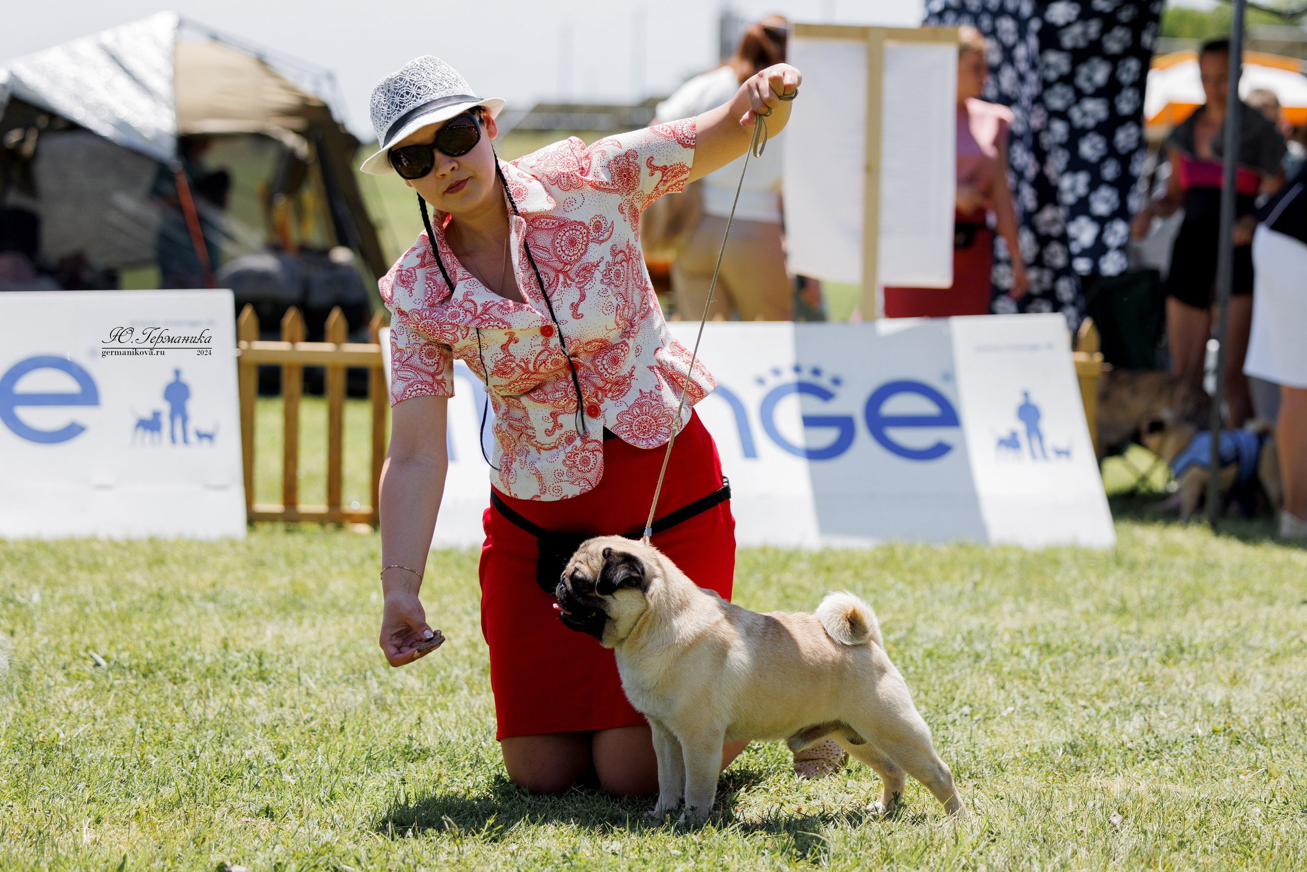 Ереван 3-5.06.2024. Фотограф-анималист Юлия Германика