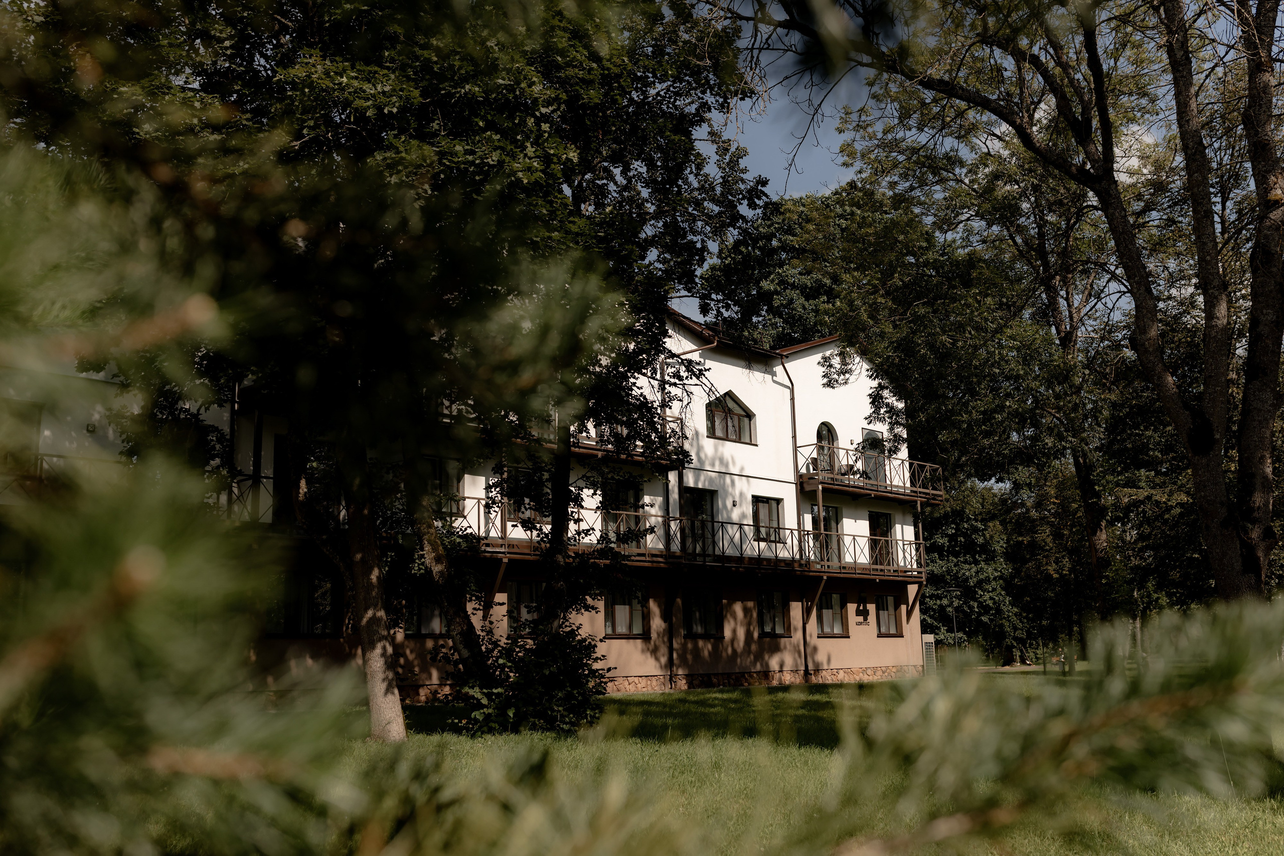 Егор и Оля. Дмитрий Позняк — свадебный фотограф в Брянске. Личный сайт фотографа
