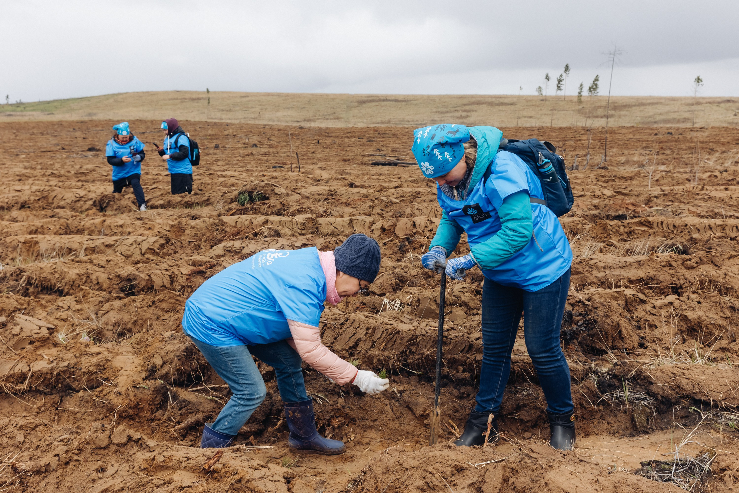 Siberian wellness. Ежегодная акция по посадке деревьев. Свадебный и семейный фотограф в Улан-Удэ