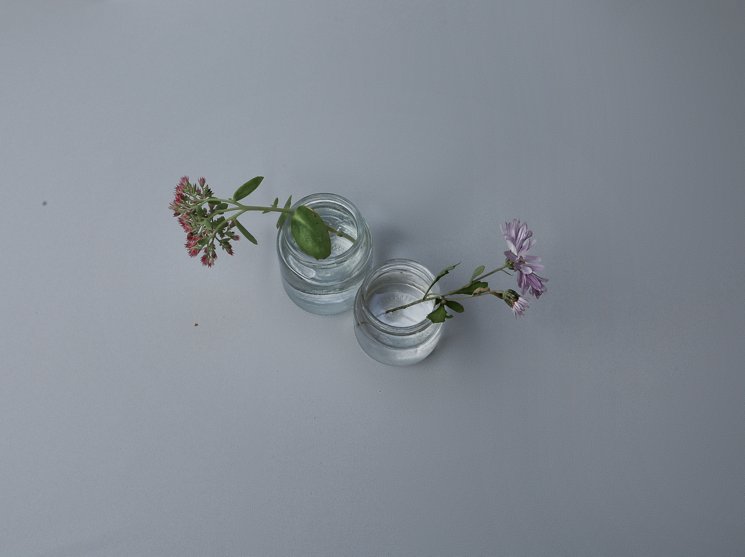 Арт. Фотограф Наталья Туева FineArt съёмка