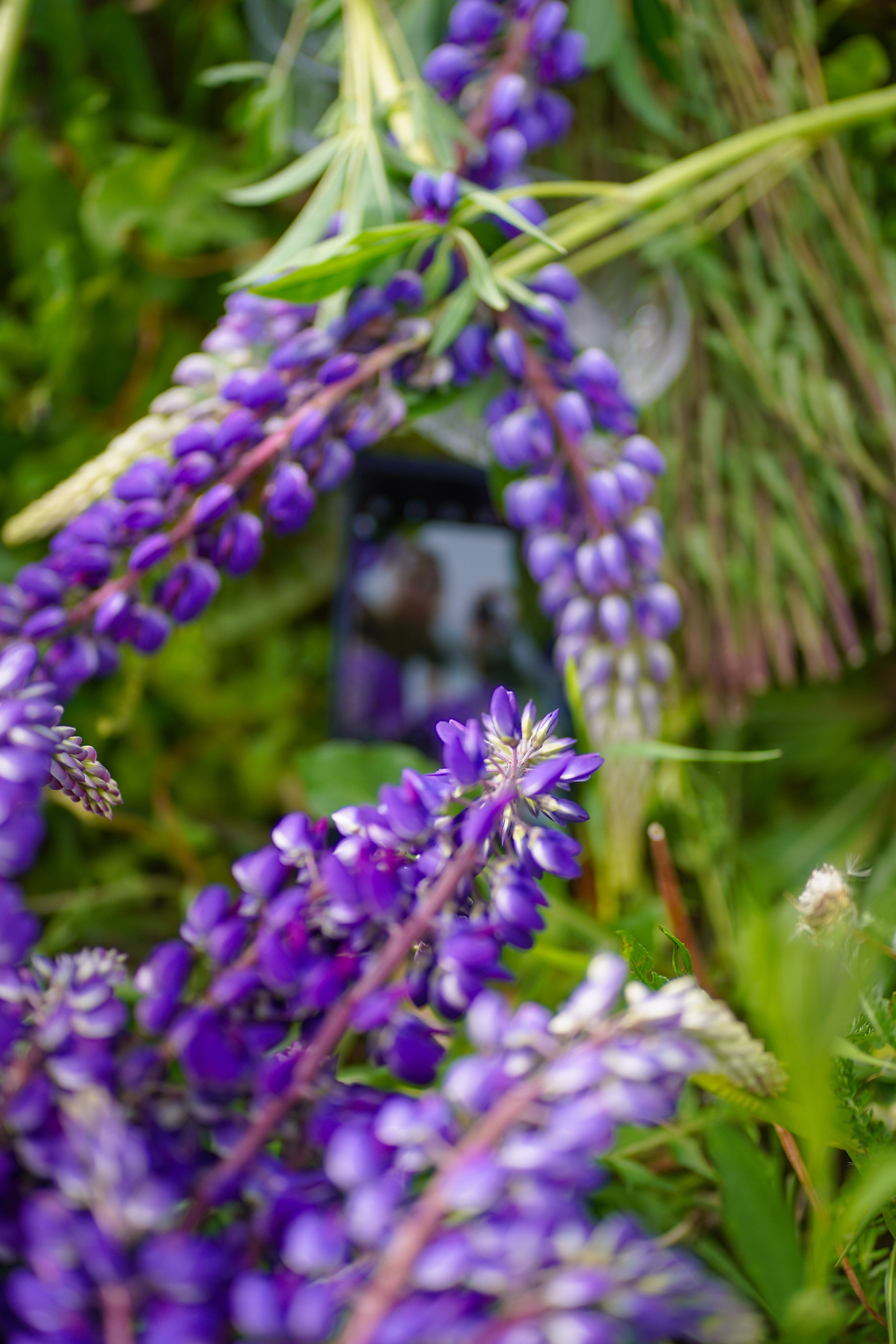 Ира. Семейный и детский фотограф в Москве (Тинао) Галкина Алевтина