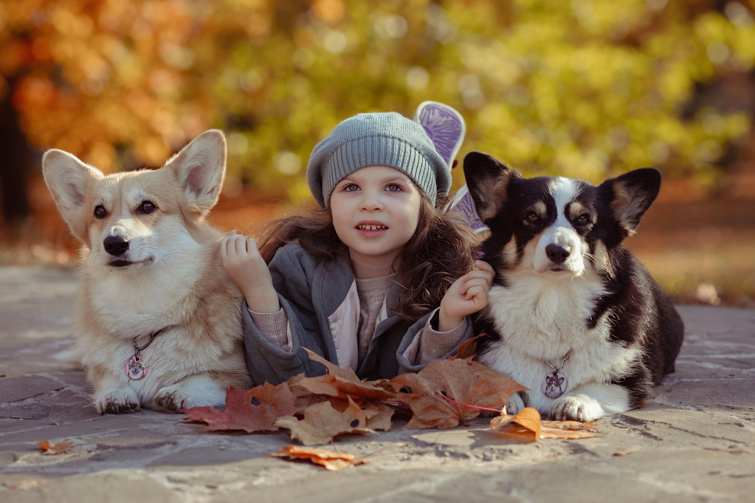 Эва с корги. Семейный и детский фотограф в Москве Дорогова Екатерина