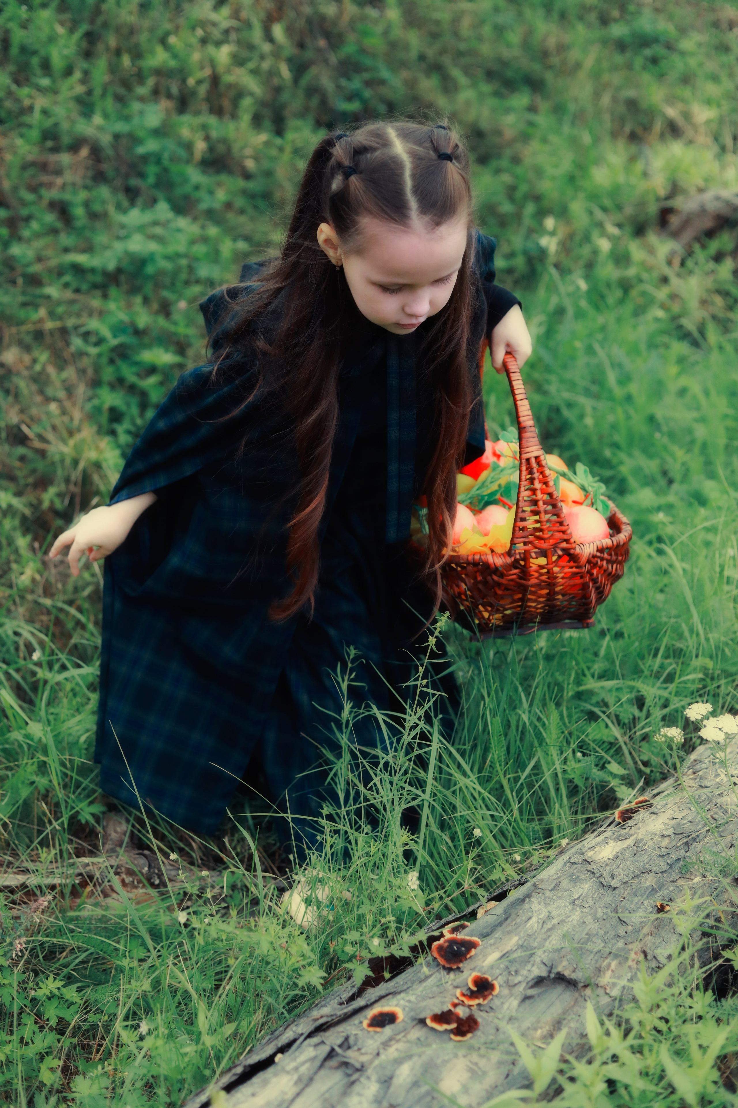 Джейн Эйр. ALENA POGODAEVA — PHOTOGRAPHY (фотограф)