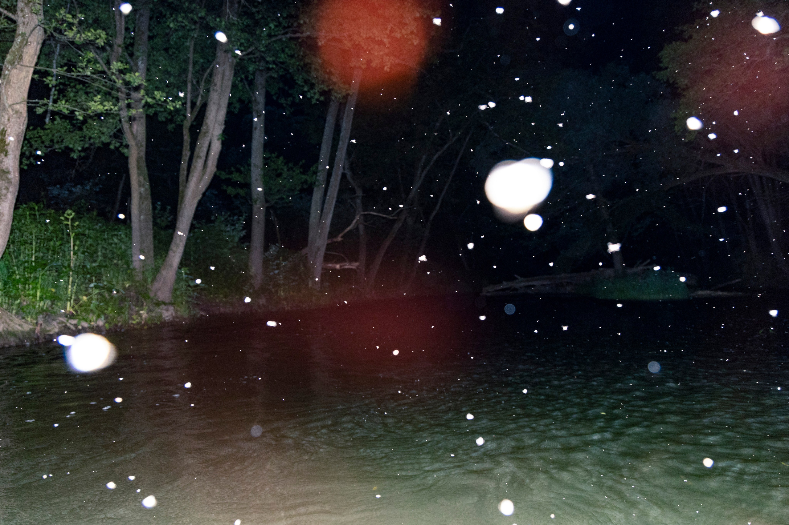 Репортаж. XVVIO PHOTOGRAPHY