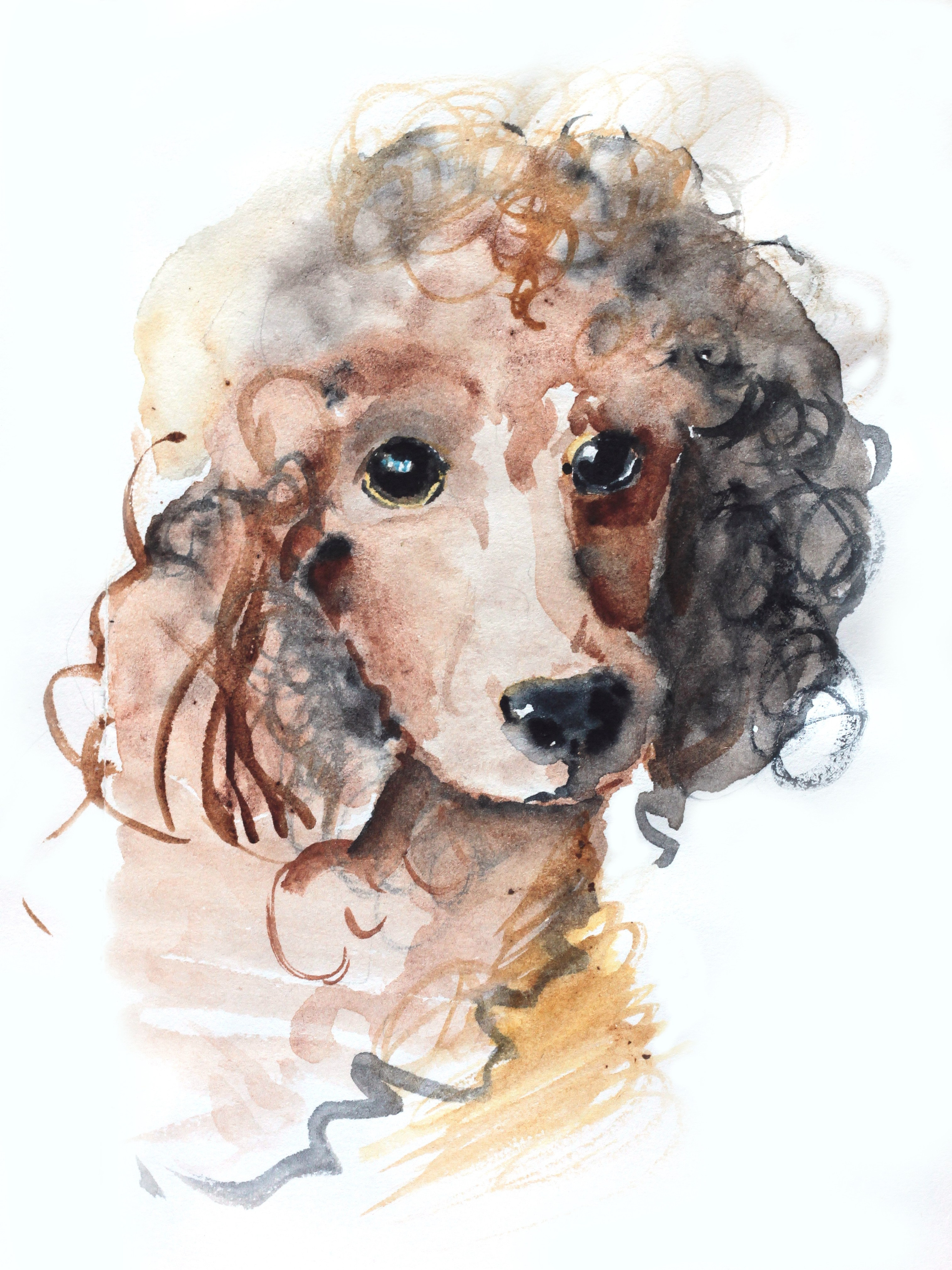 Акварельный блокнот. Художник Екатерина Морозова в Санкт-Петербурге