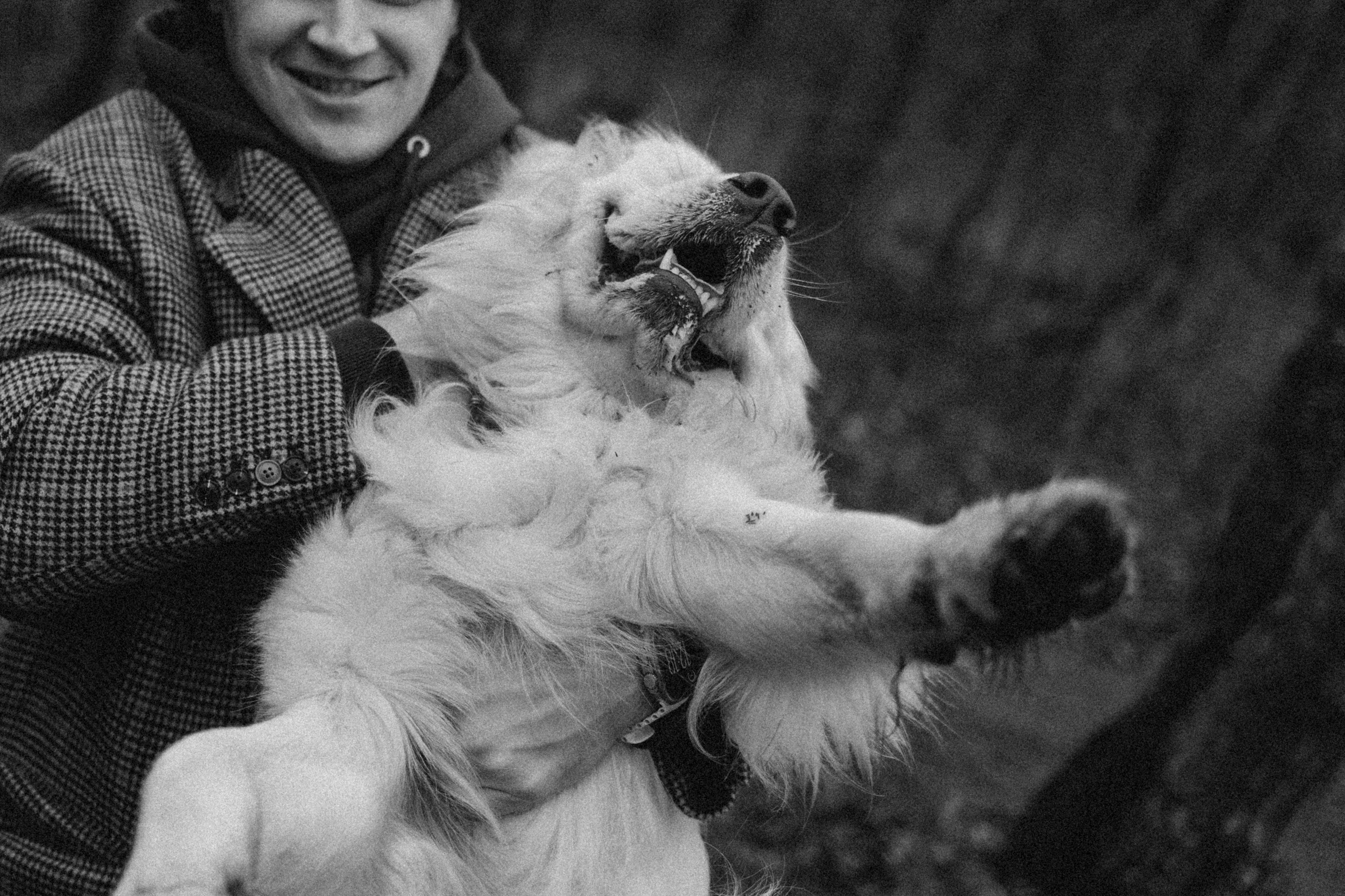 Лаки и его семья. Фотограф — Анималист | Санкт-Петербург