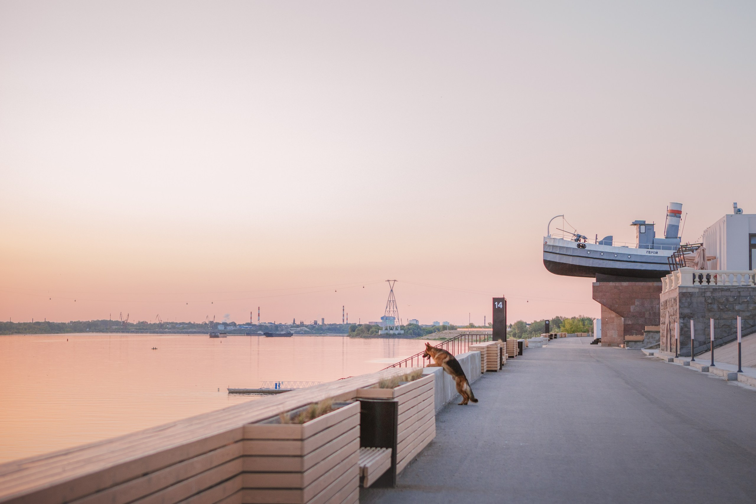 НО Расмус. Рассвет. Фотограф анималист Кузнецова Анна Нижний Новгород