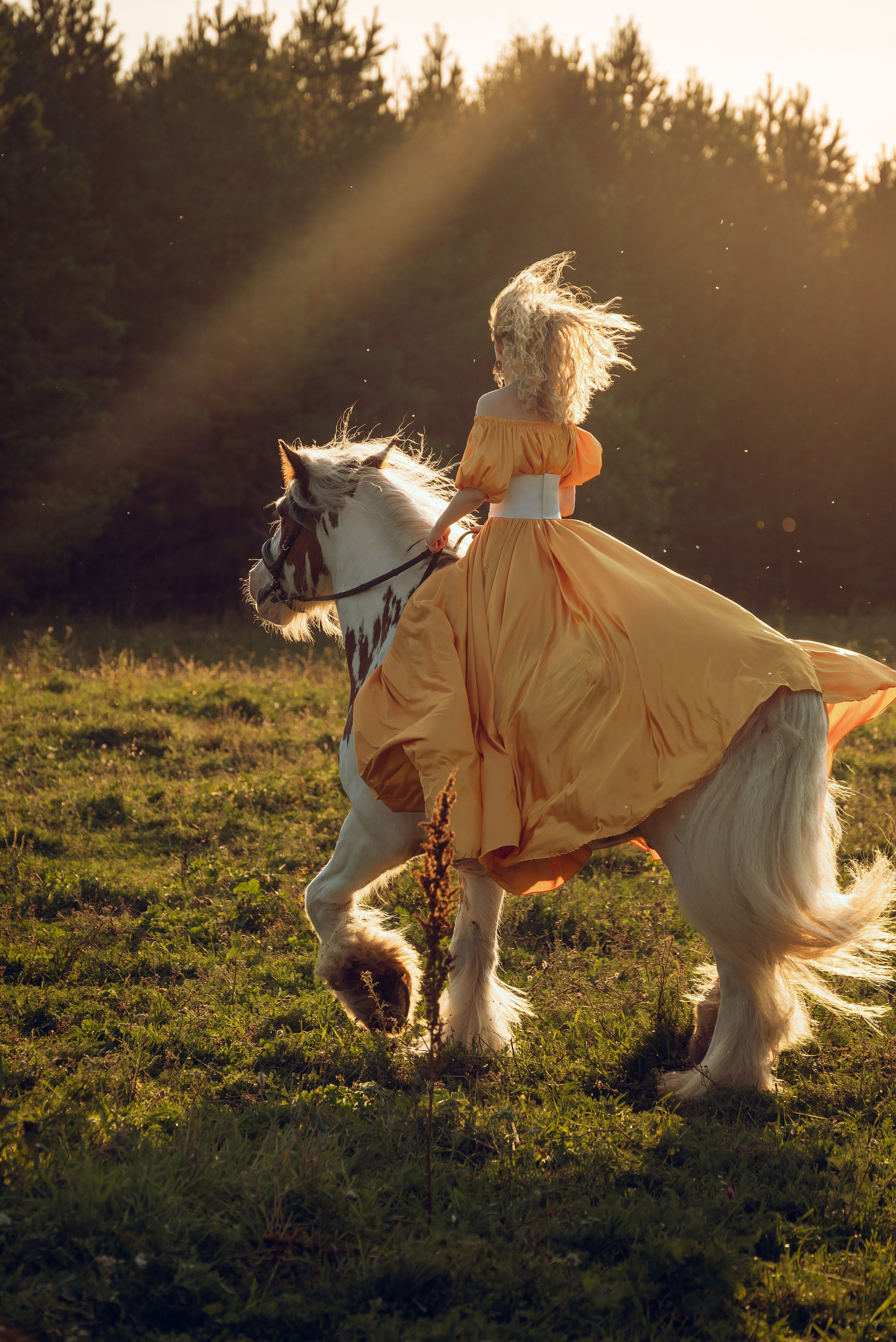 Съемка с лошадью Иркутск Иркутская область. Сайт фотографа Елены Коноваловой Иркутск