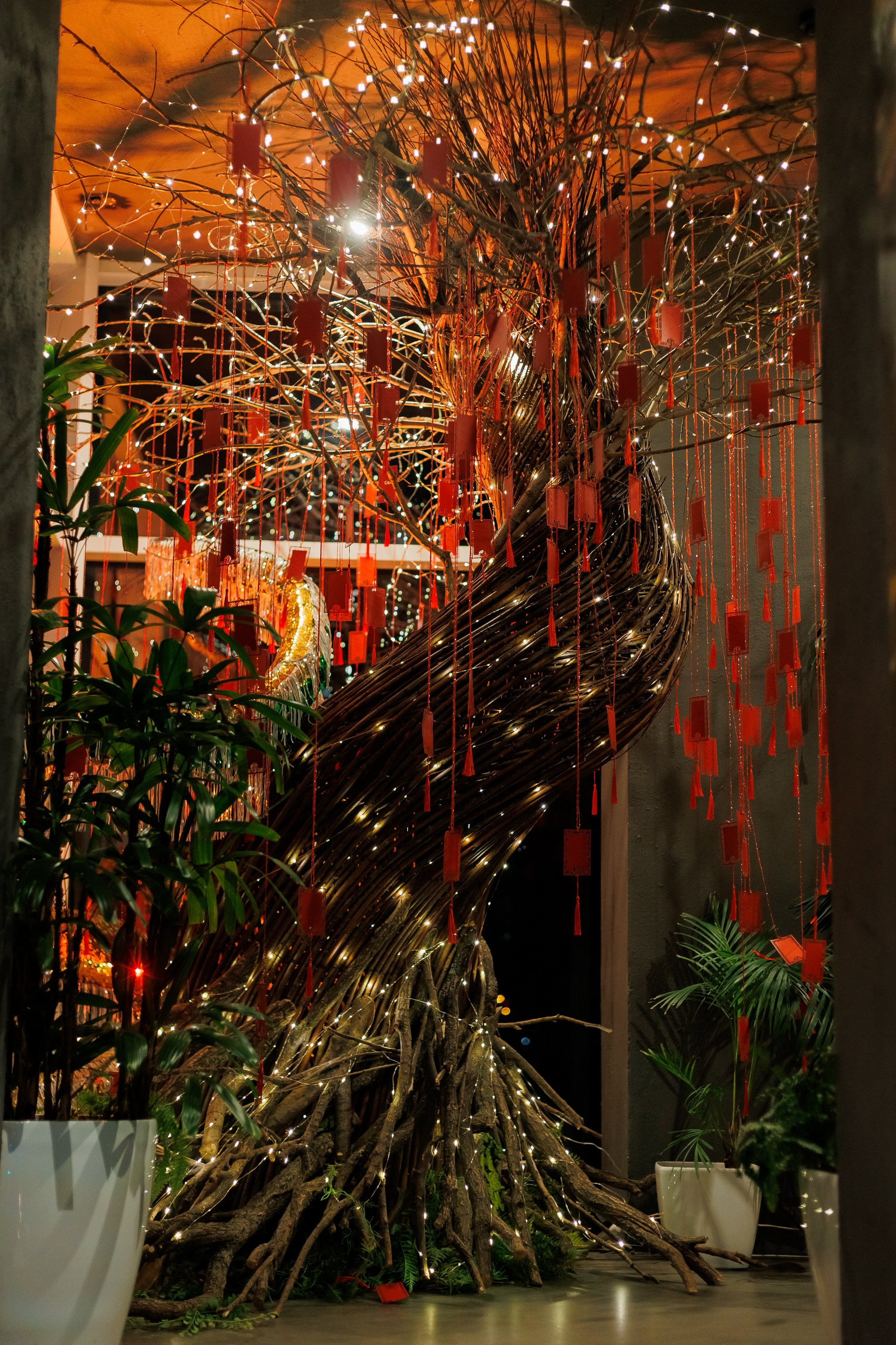 ЭХО новый год 2025. Фотограф из Хабаровска Юлия Черёмушкина