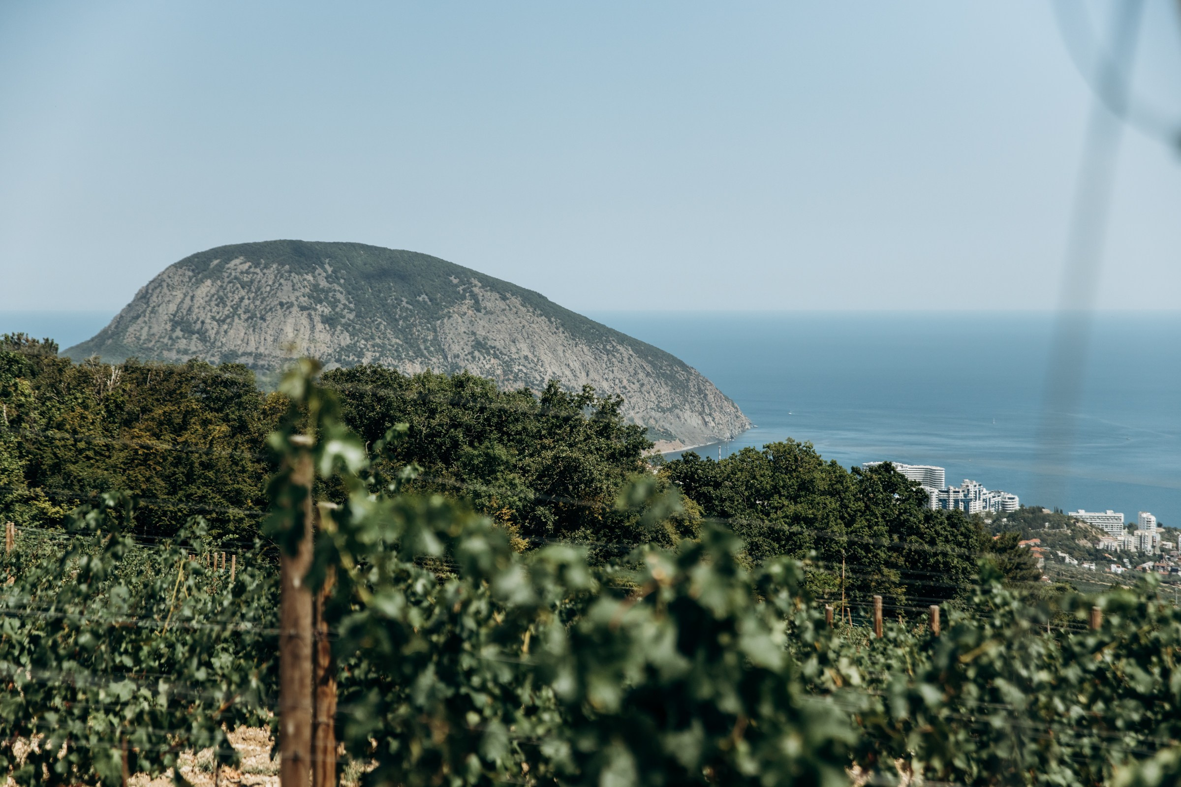 Юбилей, корпоративы, конференции. Фотограф в Крыму — Федор зайцев. Свадебная, семейная и портретная съёмка. Фотографии для контента, для бизнеса. Корпоративная съёмка