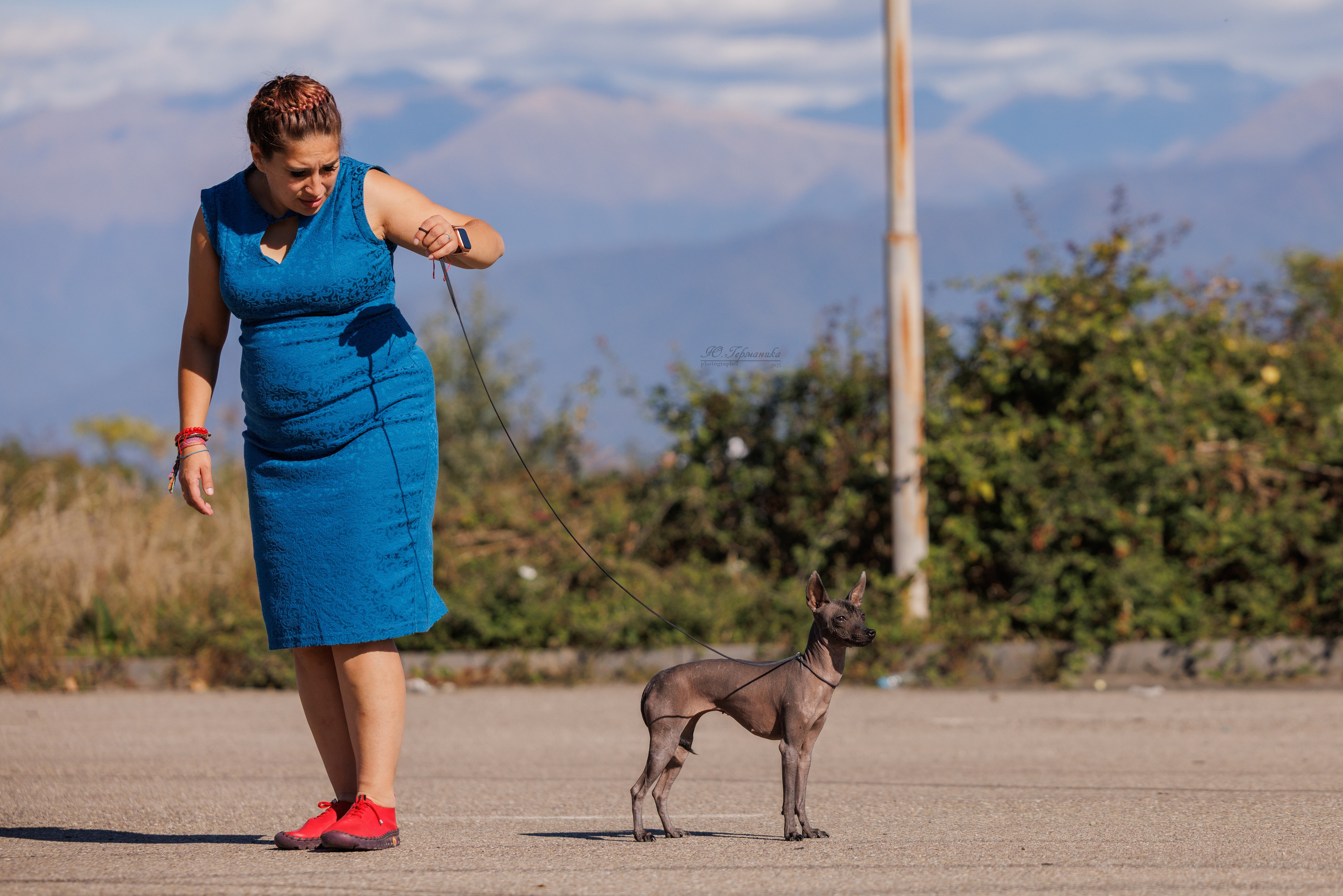 Телави 11-12.10.2025. Фотограф-анималист Юлия Германика