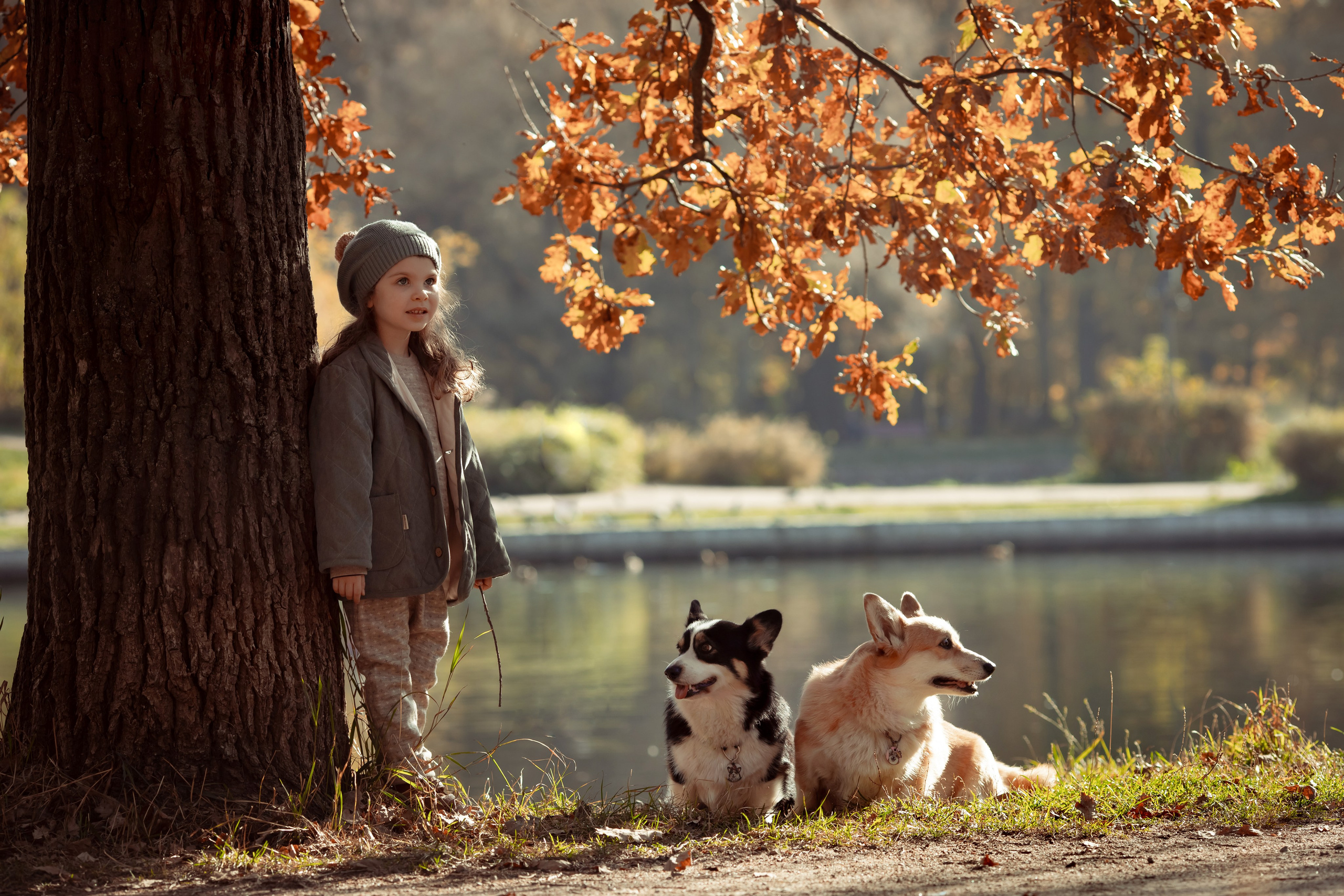 Эва с корги. Семейный и детский фотограф в Москве Дорогова Екатерина