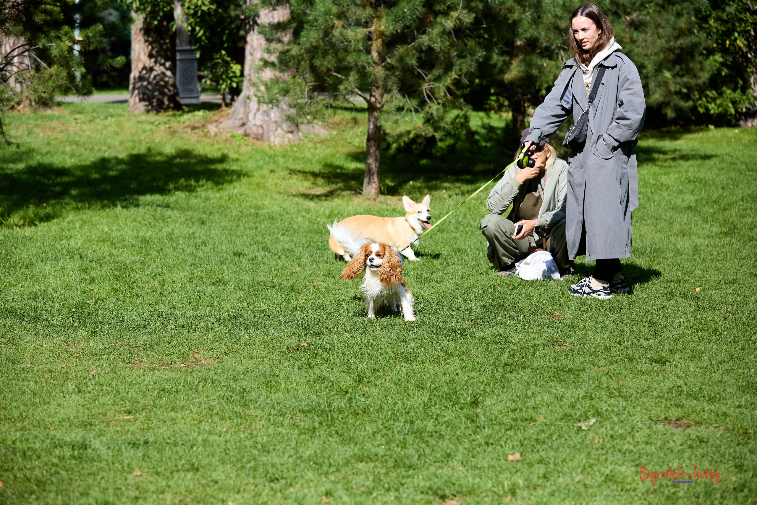 Фотопрогулка с кавалерами. Buyvolenko Andrey