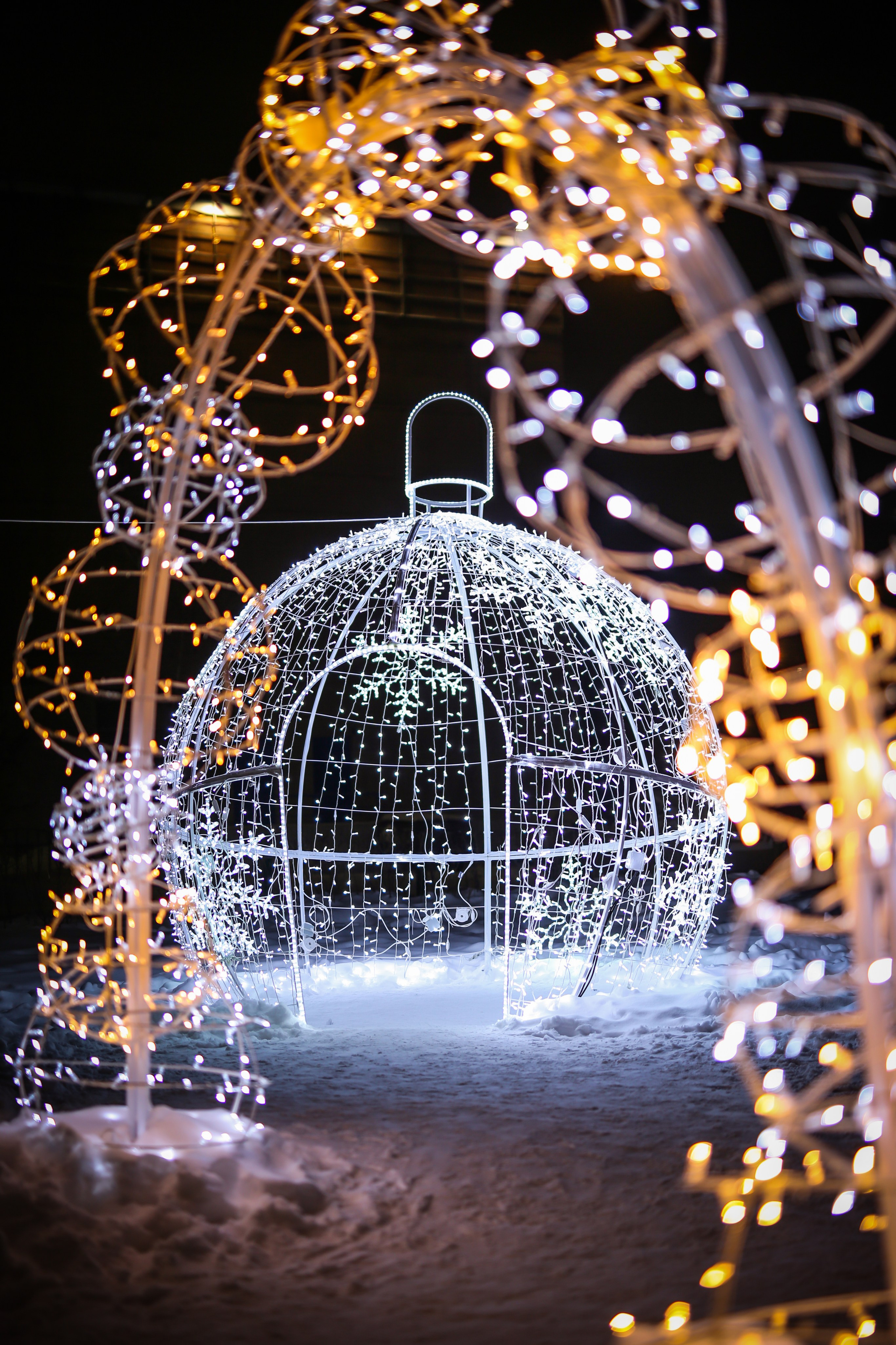 Сургут. Фотограф в г. Сургуте Марина Киприна