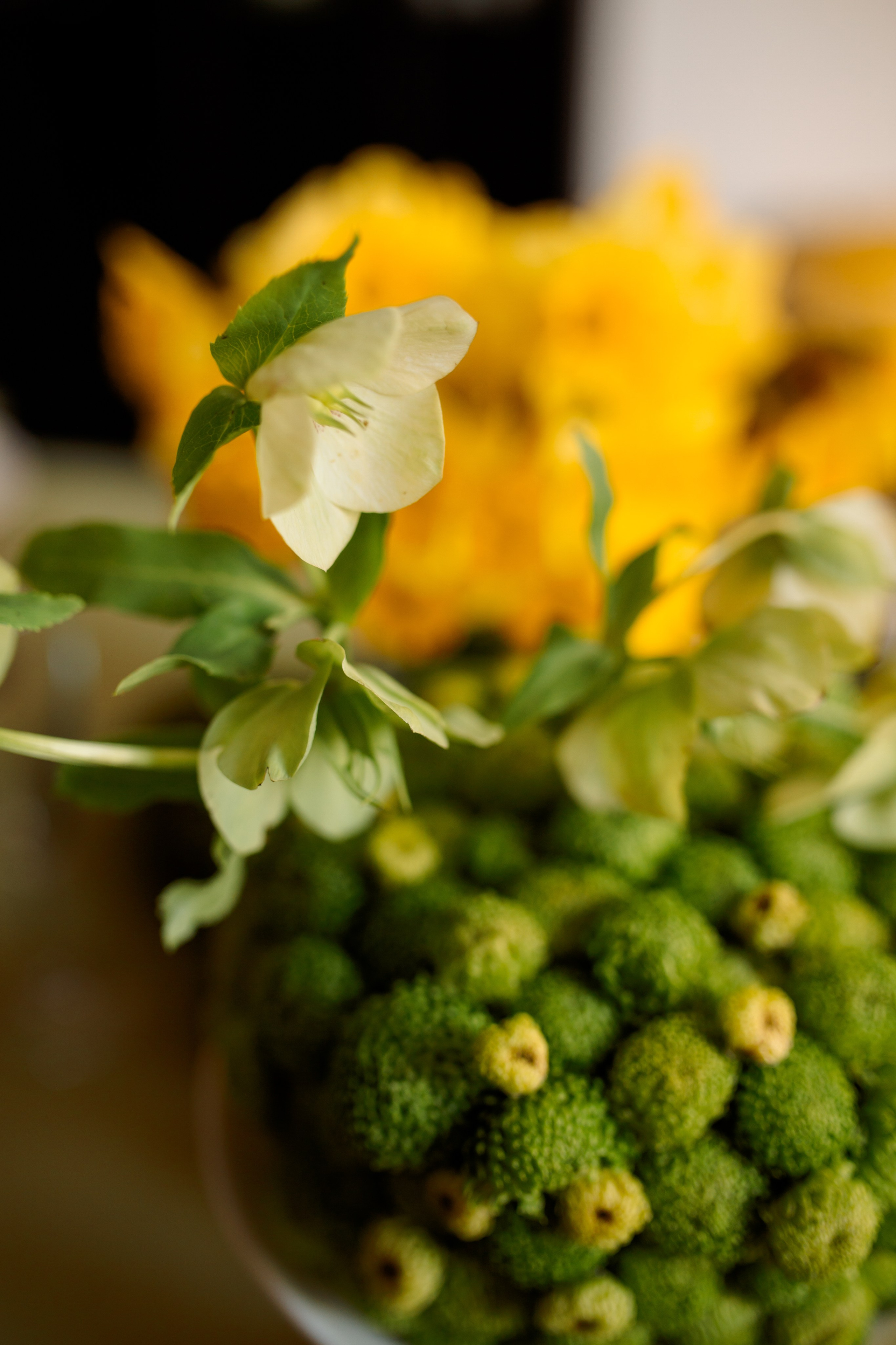 Артем и Ася