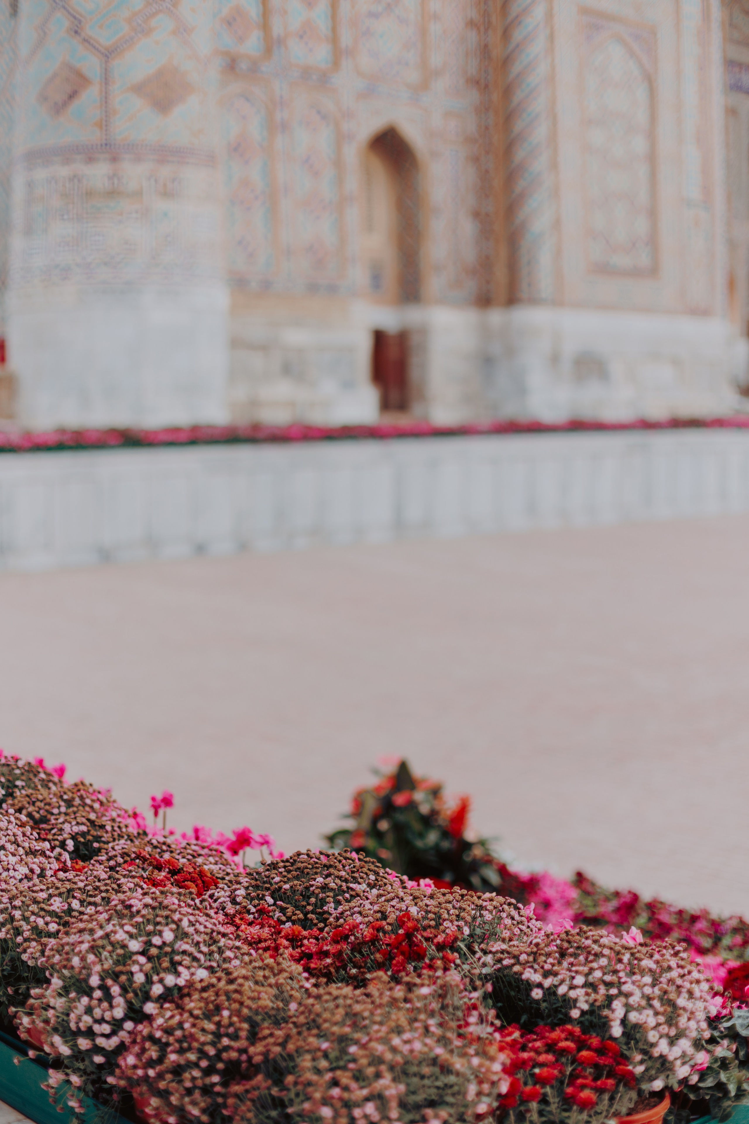 Узбекистан. Креатор Ольга Яш