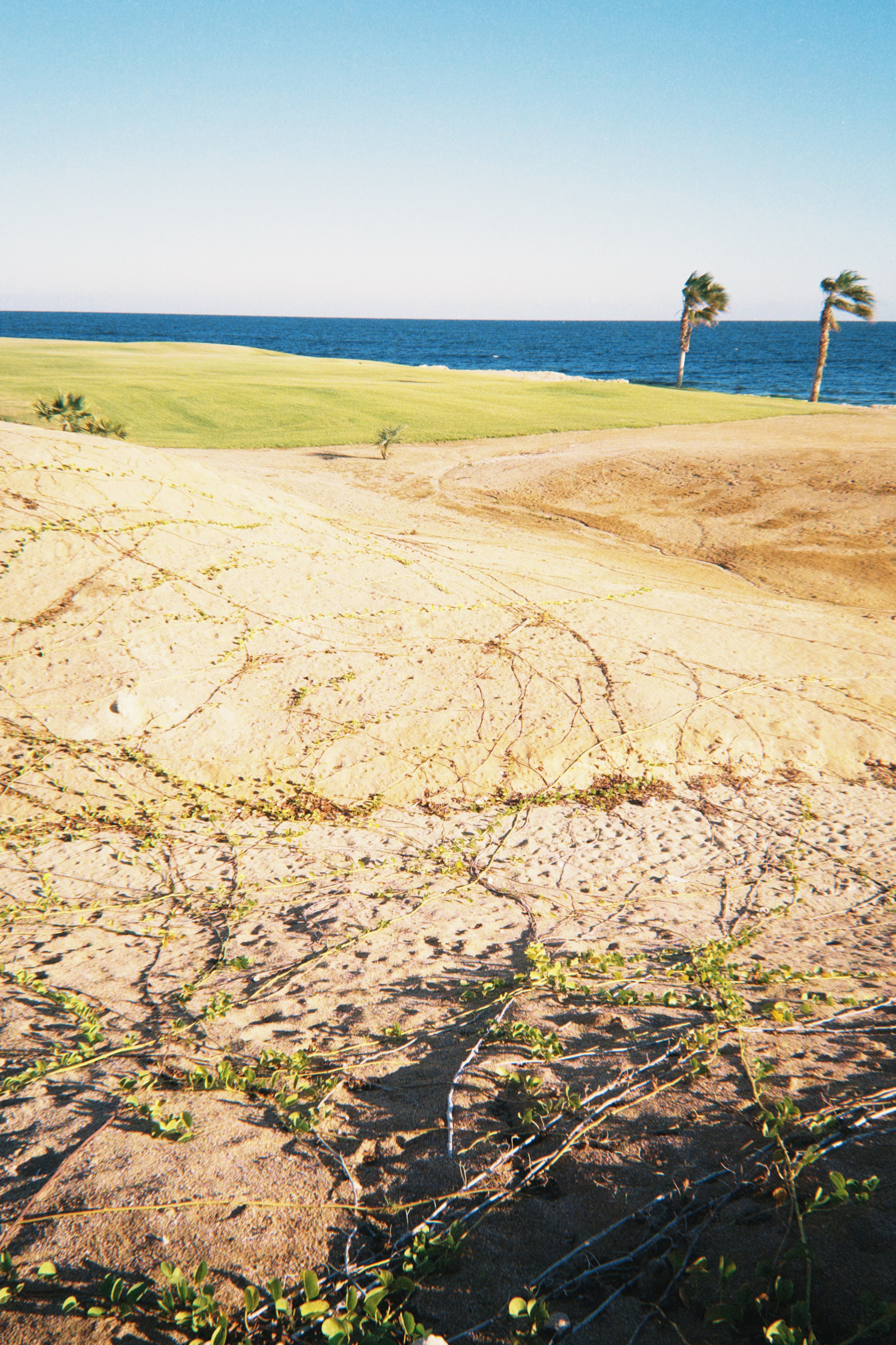 Данил колбасенко. Портфолио