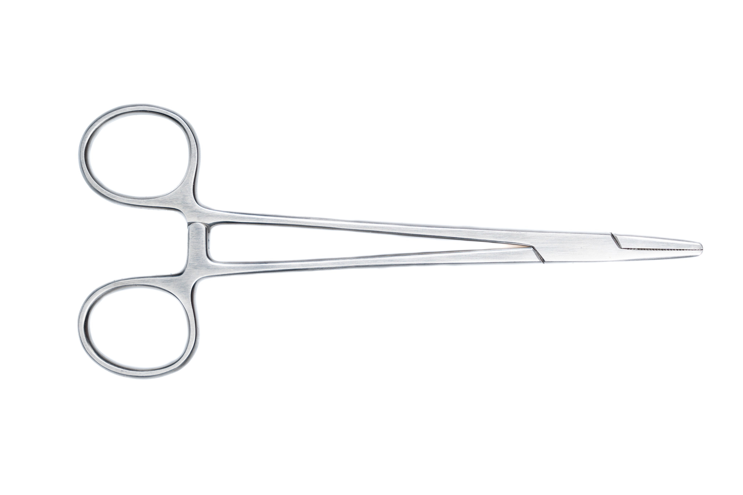 GLOBAL.VET. Репортажный фотограф в Москве Илья Закурин